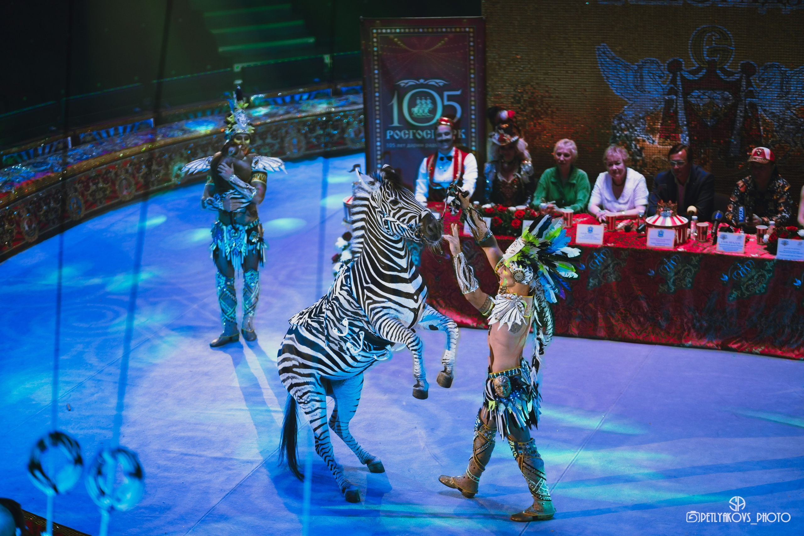 Пресс-конференция циркового шоу Гии Эрадзе «Бурлеск» (репортаж). Фотограф, видеограф Пятигорск, Ставрополь, Ессентуки, Petlyakovs_photo