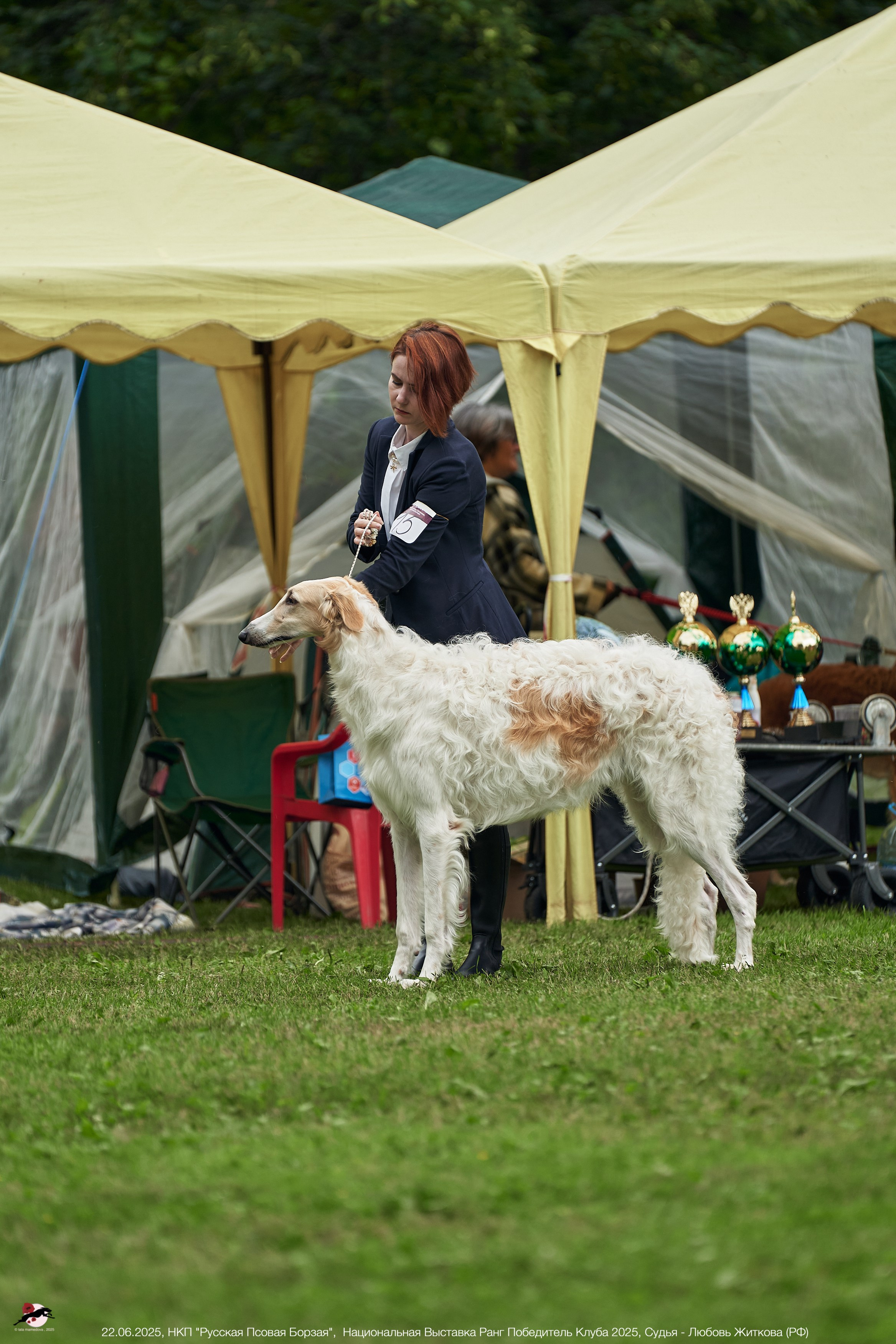 22.06.2025 | Национальная Выставка НКП "Русская Псовая Борзая"
