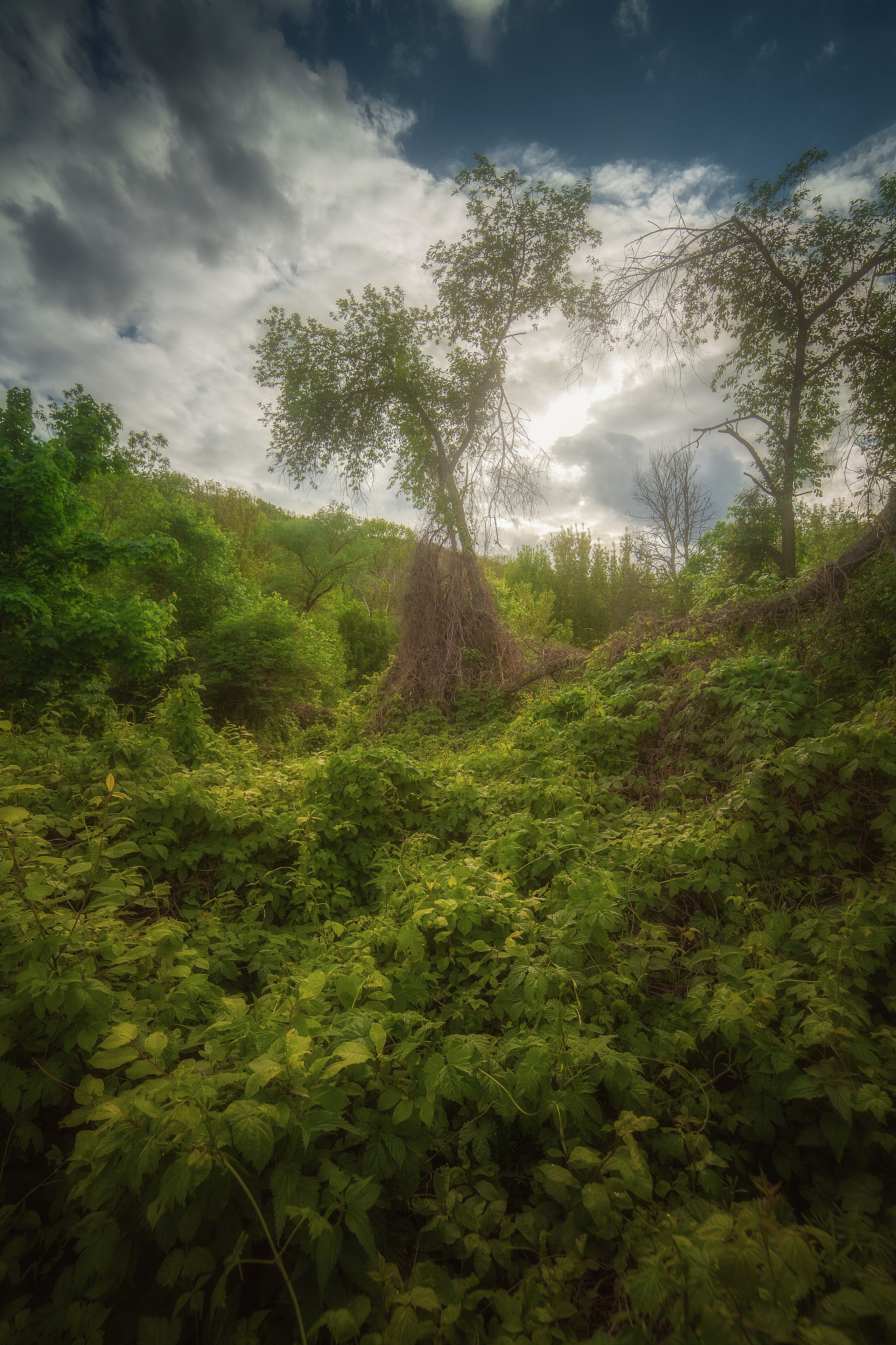 Воронежская область 2024| Фотограф Дмитрий Купрацевич. Дмитрий Купрацевич профессиональный пейзажный и travel-фотограф