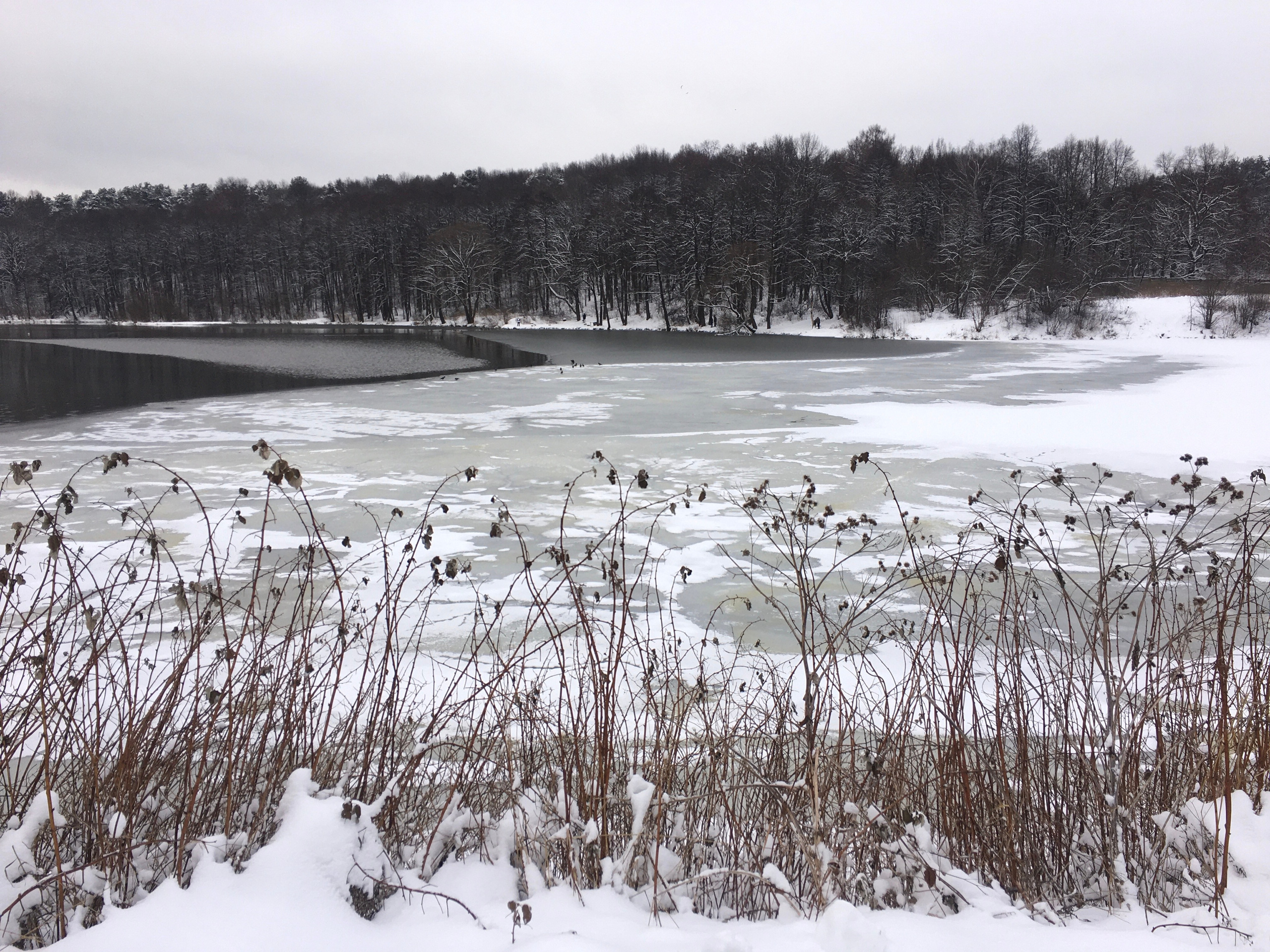 Курс «С нуля»