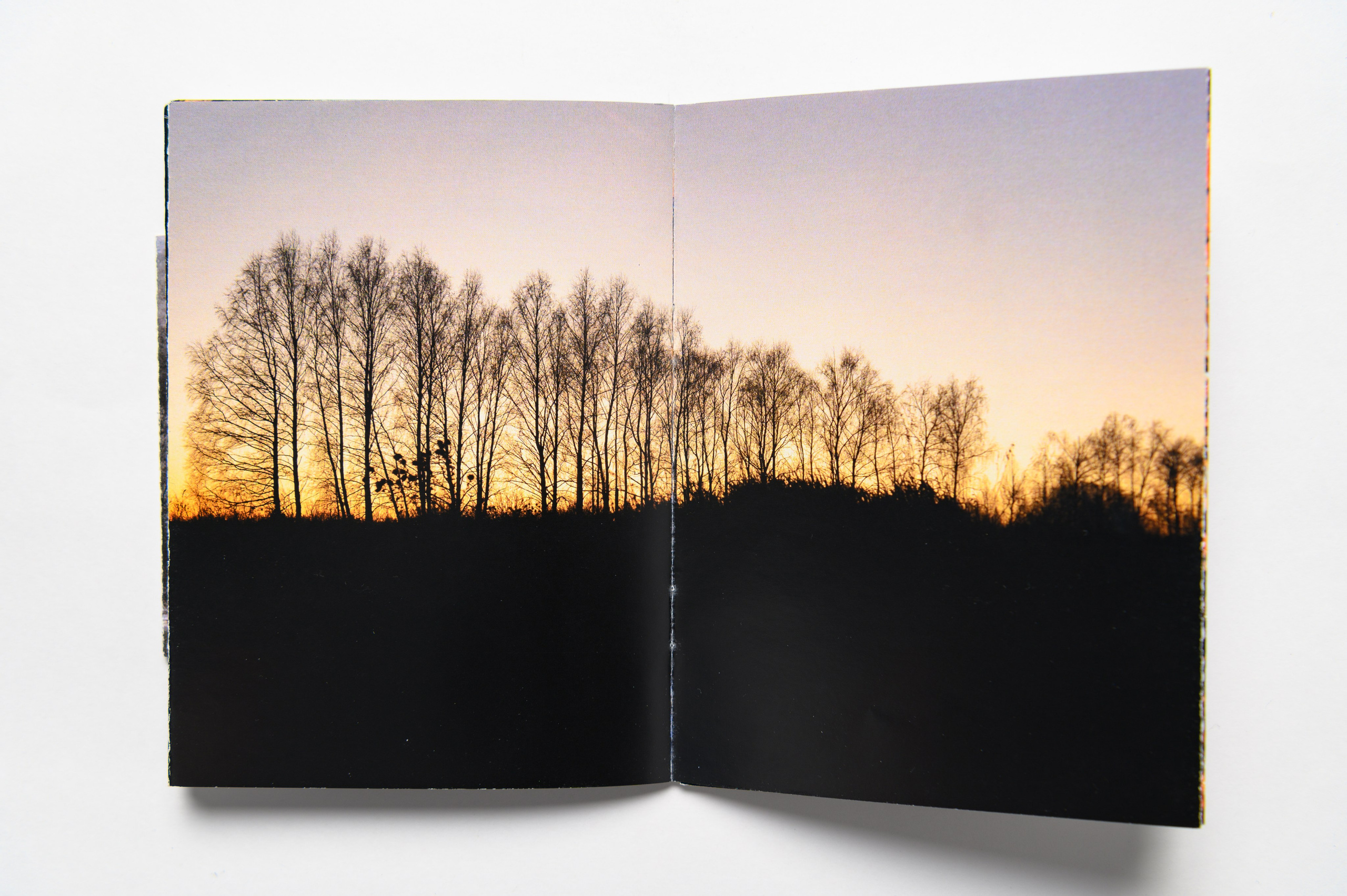 В домике. Наталия Шульгина — визуальный художник, фотограф