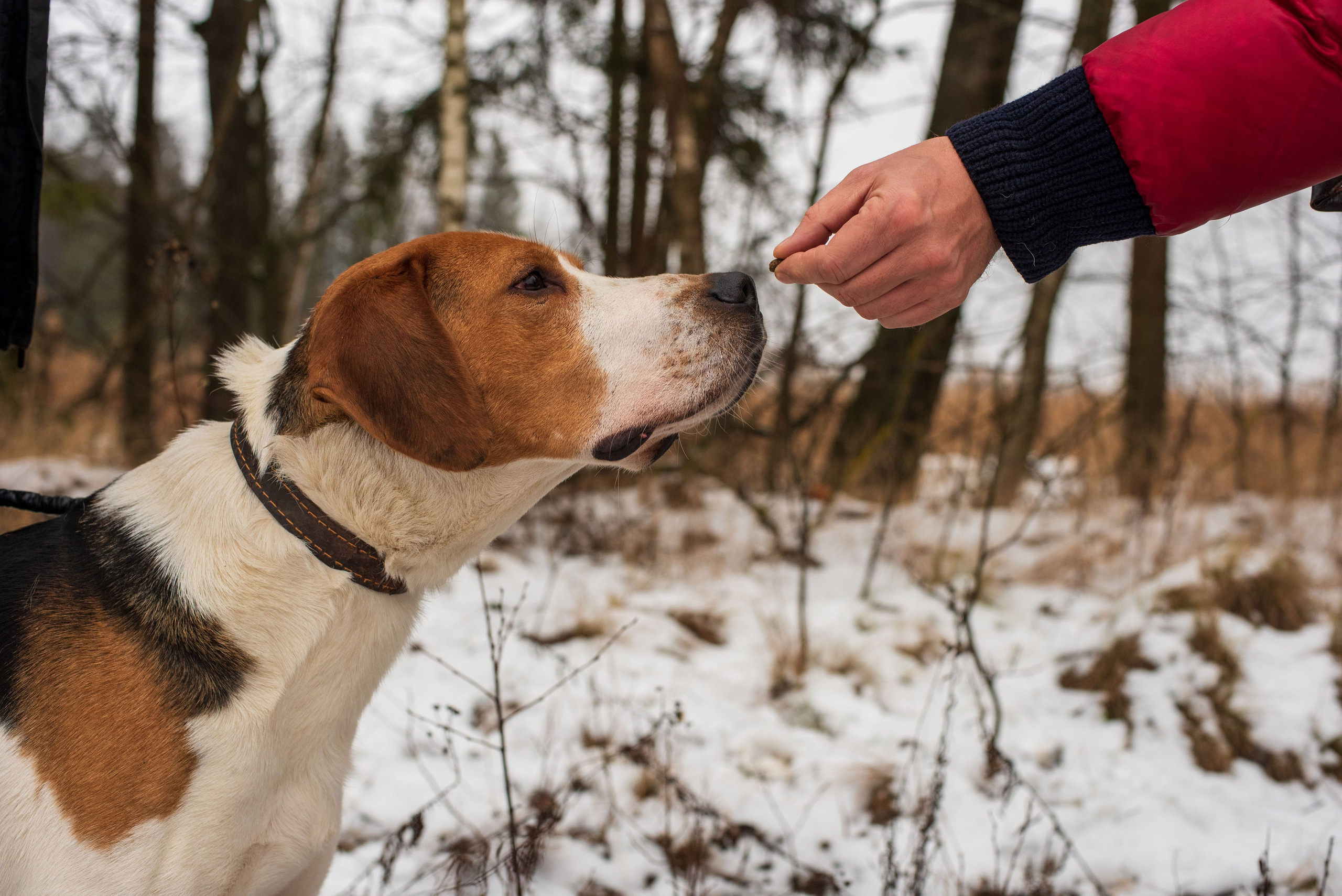 Автор: Всеволод Набоко