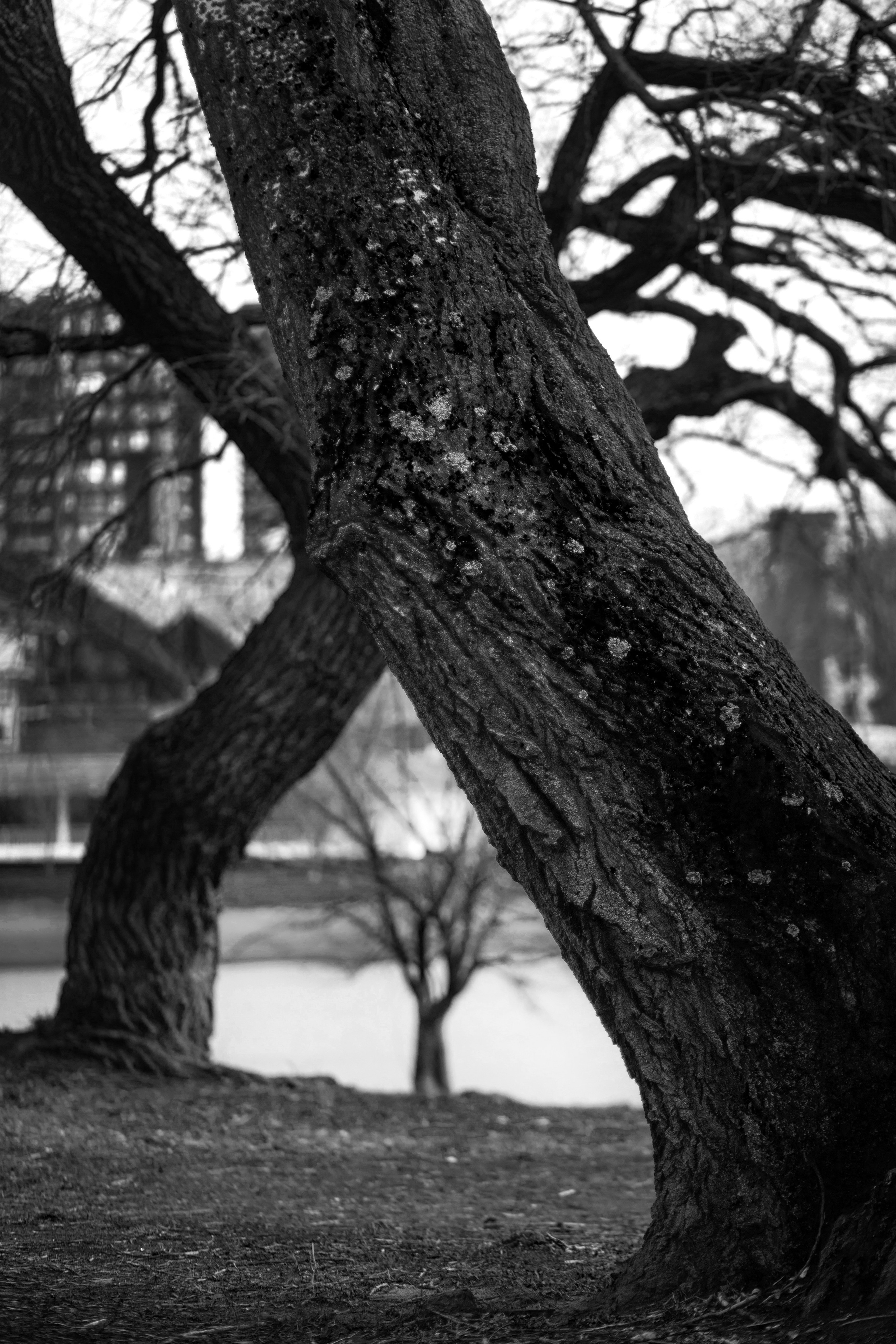 Улицы Люди на улицах Природа Животные — фотограф Оля Волчкова