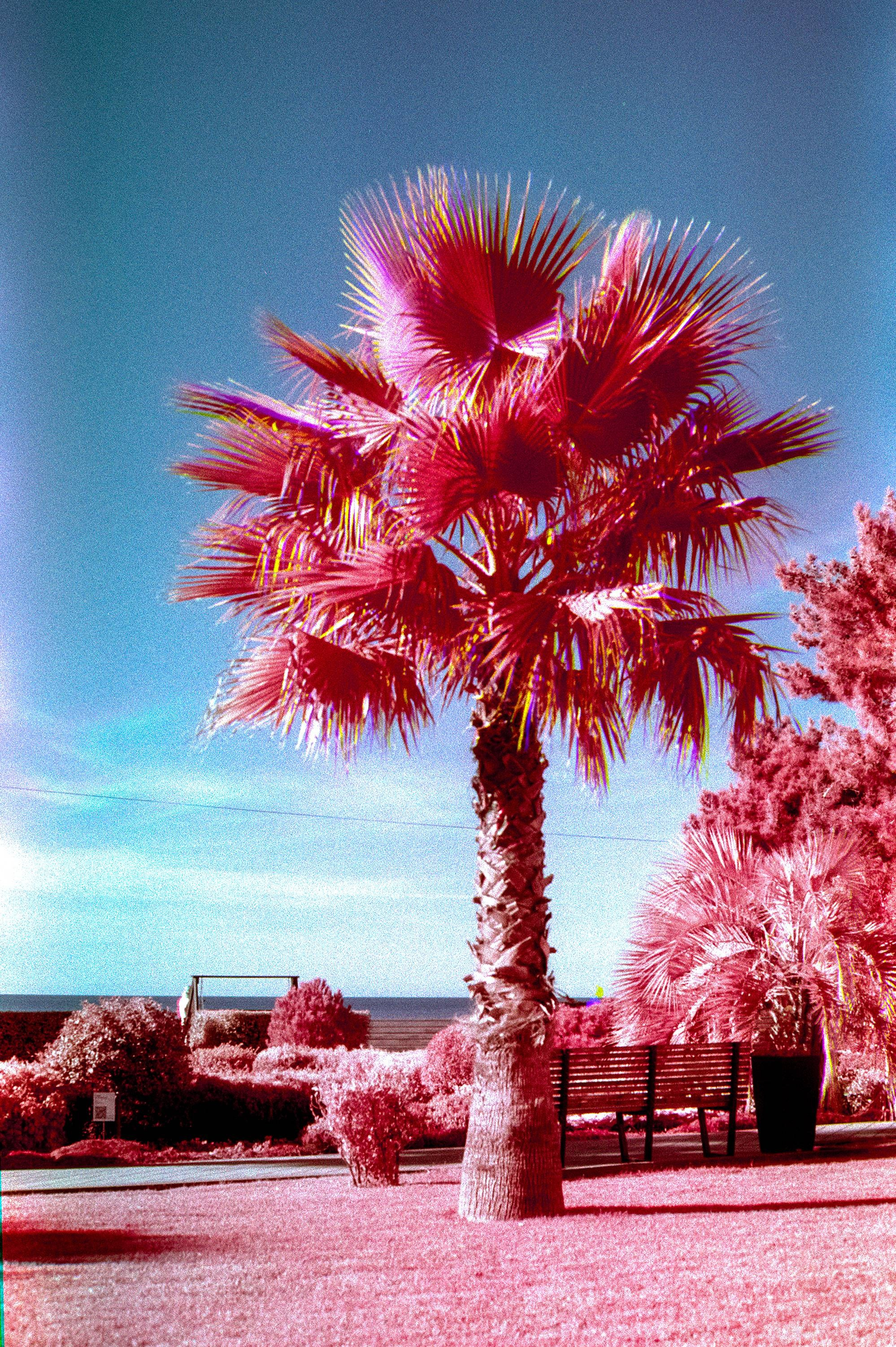 Плёночные фотографии. Фотограф — Василий Стабров