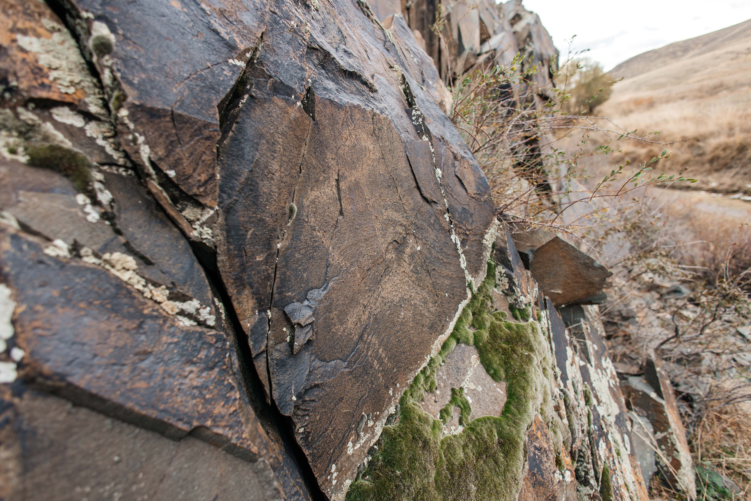 Петроглифы Тамгалы Танбалы ЮНЕСКО в Казахстане. Алматы. Где находится, как доехать из Алматы, фото и видео зимой и летом