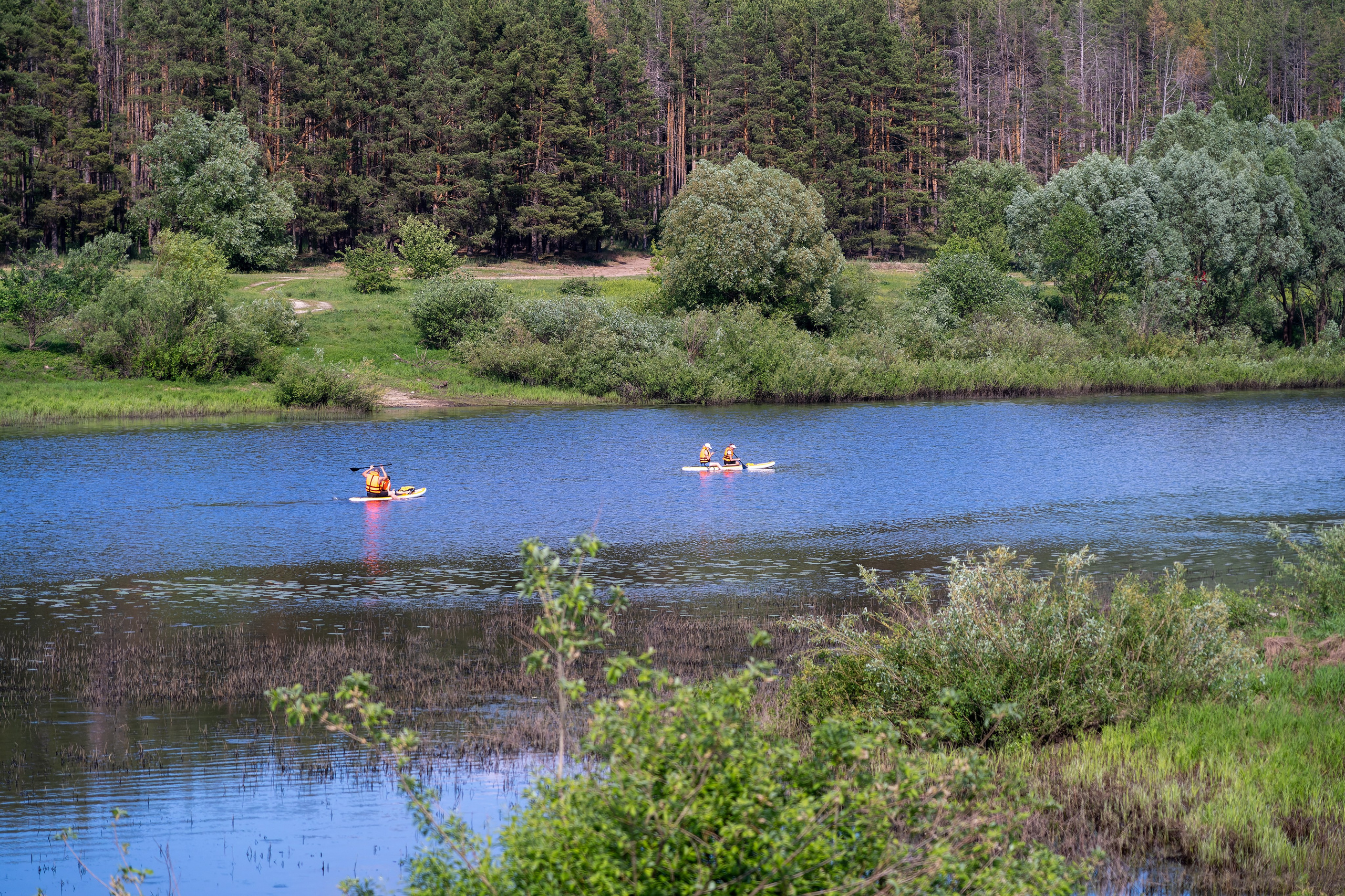 Фотограф на прогулочную фотосессии, фотосъёмка в парке, фотосессии в цветущем саду, студийные фотосессии. «Студия DRONAVT`s» — видеосъёмка и фотография г. Москва