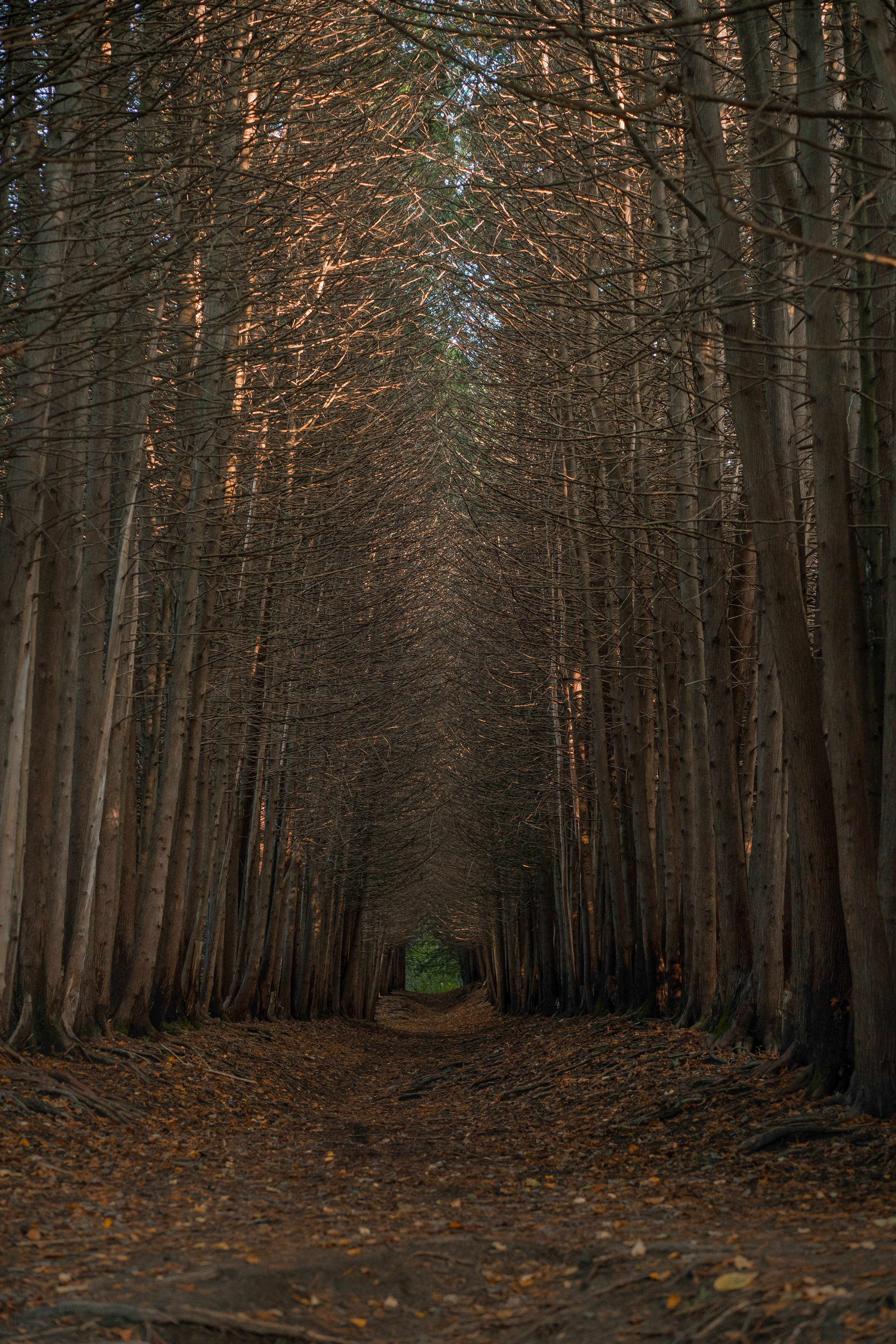 Извилистые терренкуры. Юля Дэй • Фотограф, Санкт-Петербург
