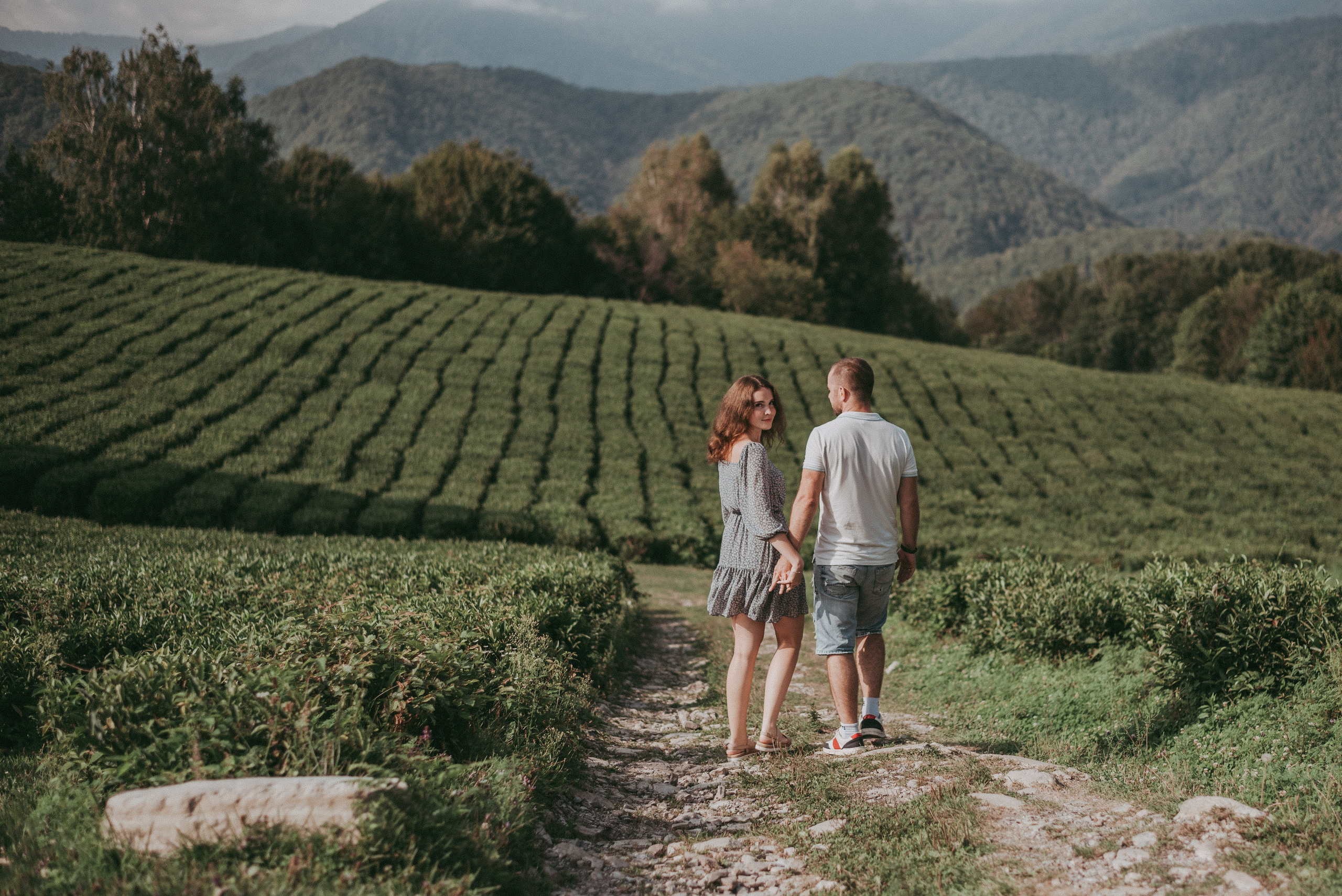 Чайные плантации Солох-аул. Фотограф в Сочи — Маргарита Поганова