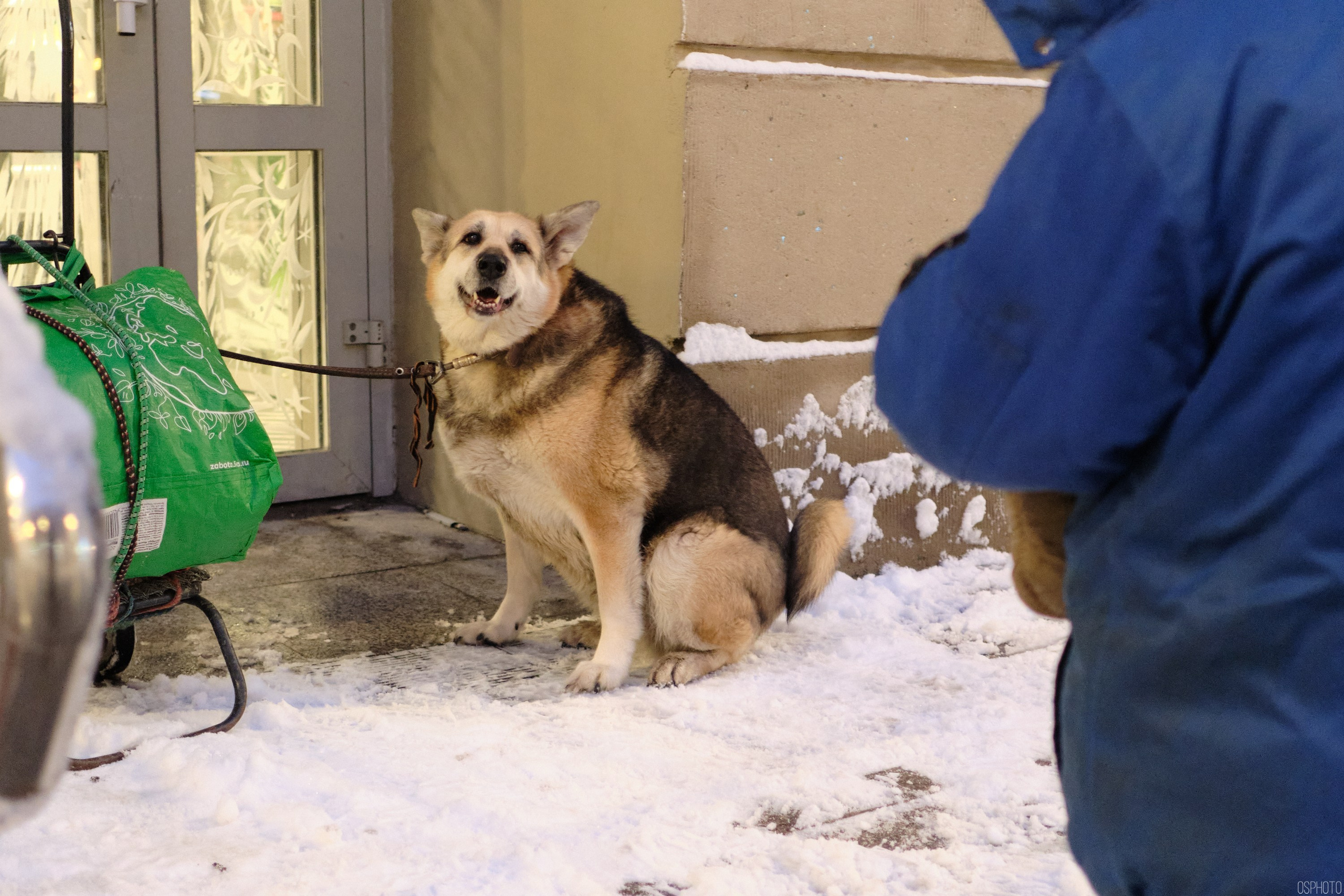 Снег и туман в Санкт-Петербурге. Фотографъ Сергѣевъ. Поймать мгновеніе