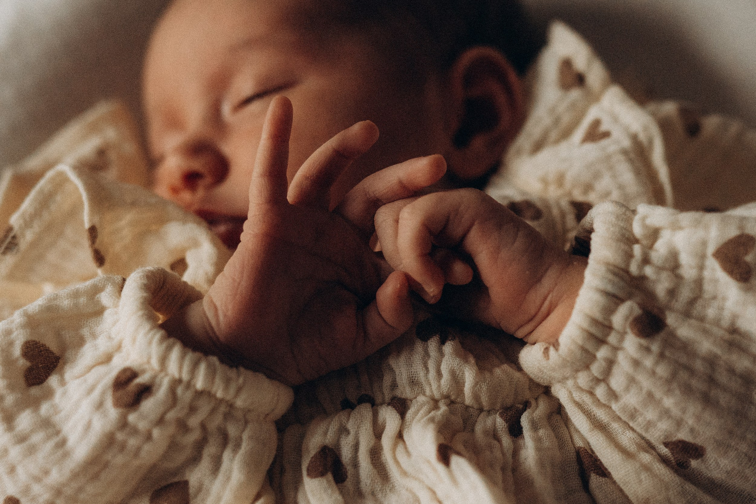 семейная фотосессия калининград , newborn калининград, домашняя фотосессия калининград, фотограф калининград