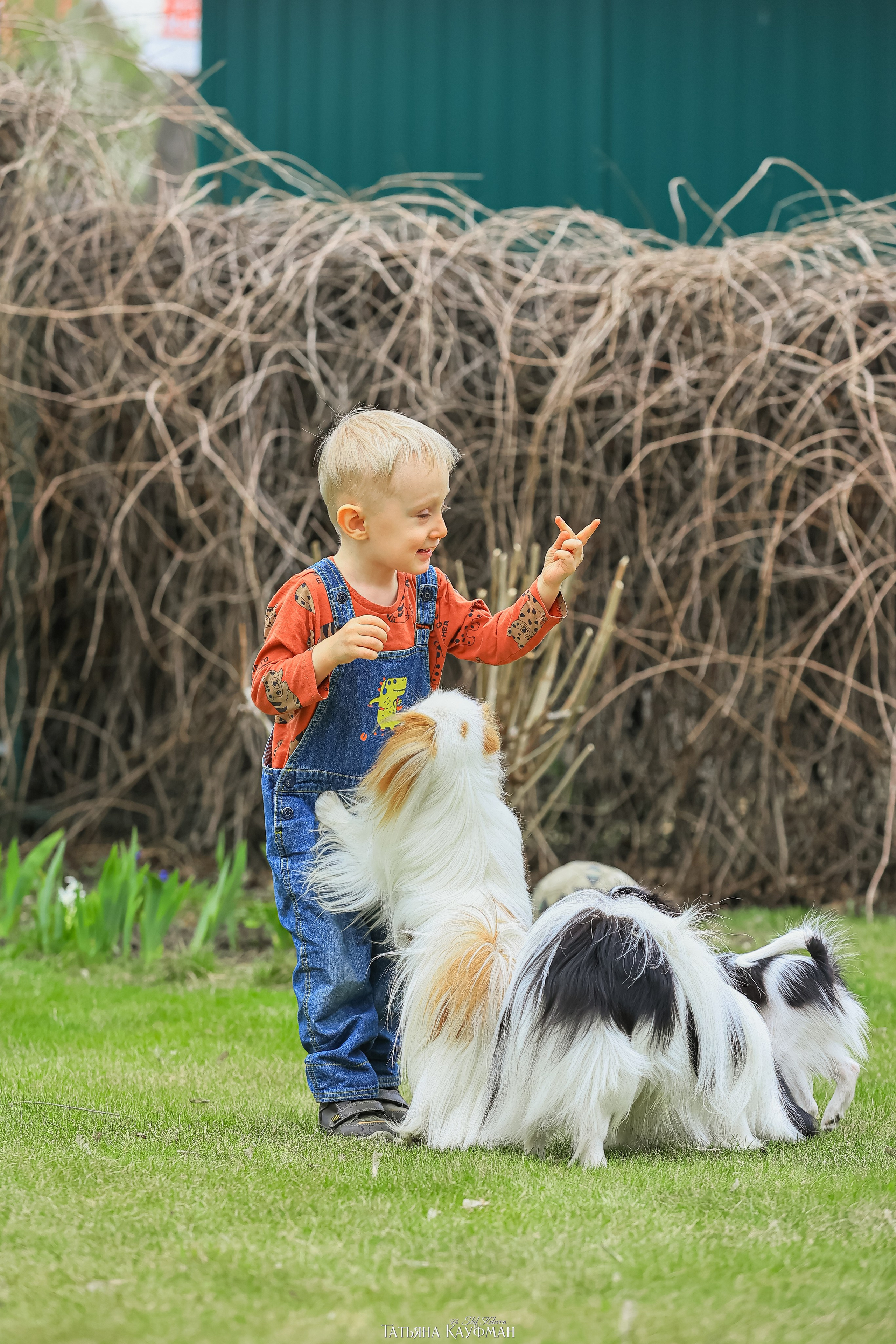 Охиненный фотодень. Фотограф Анималист из Новосибирска Татьяна Кауфман