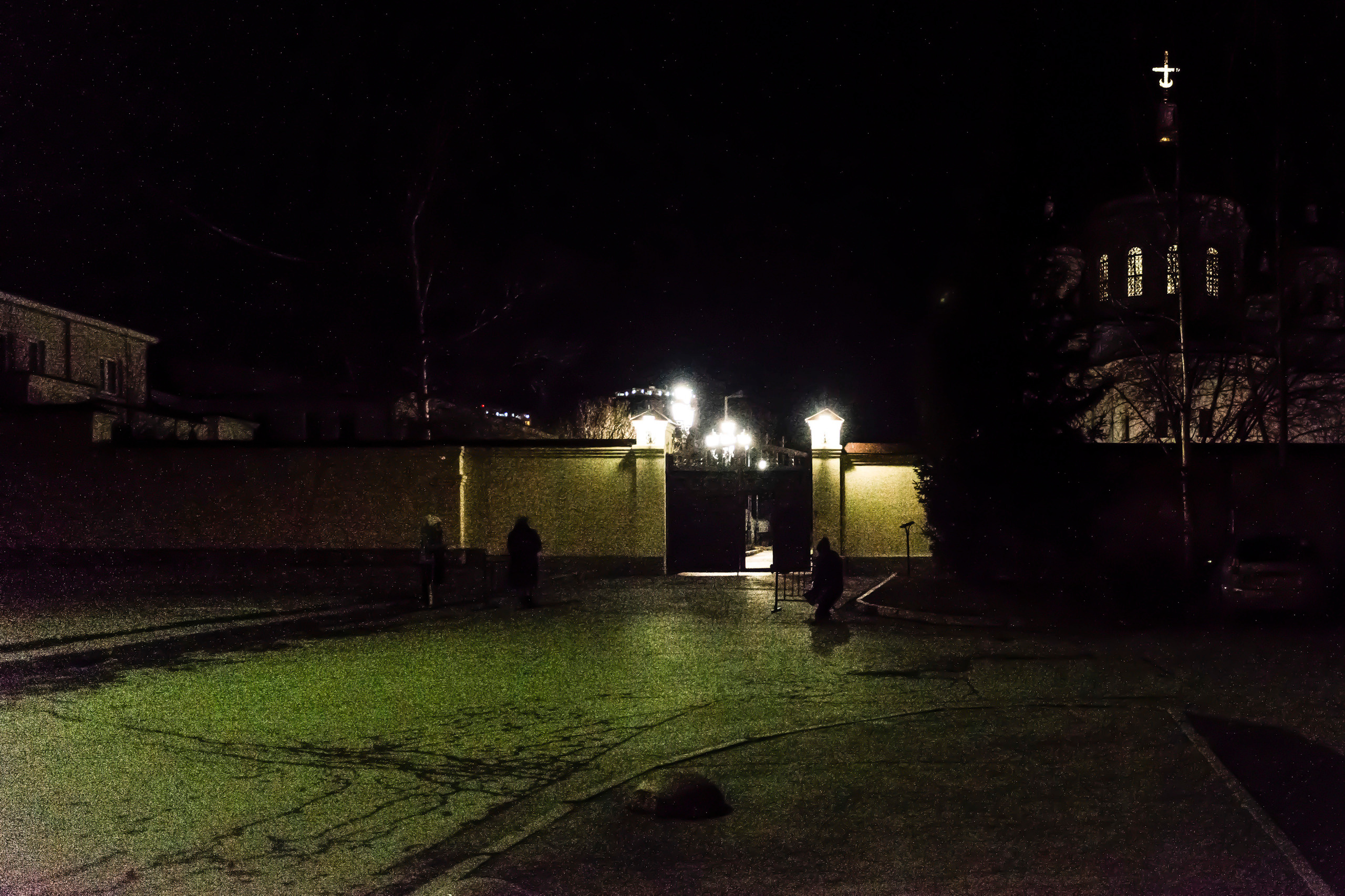 Мой монохромный друг. Plechinta Ekaterina — documentary photographer