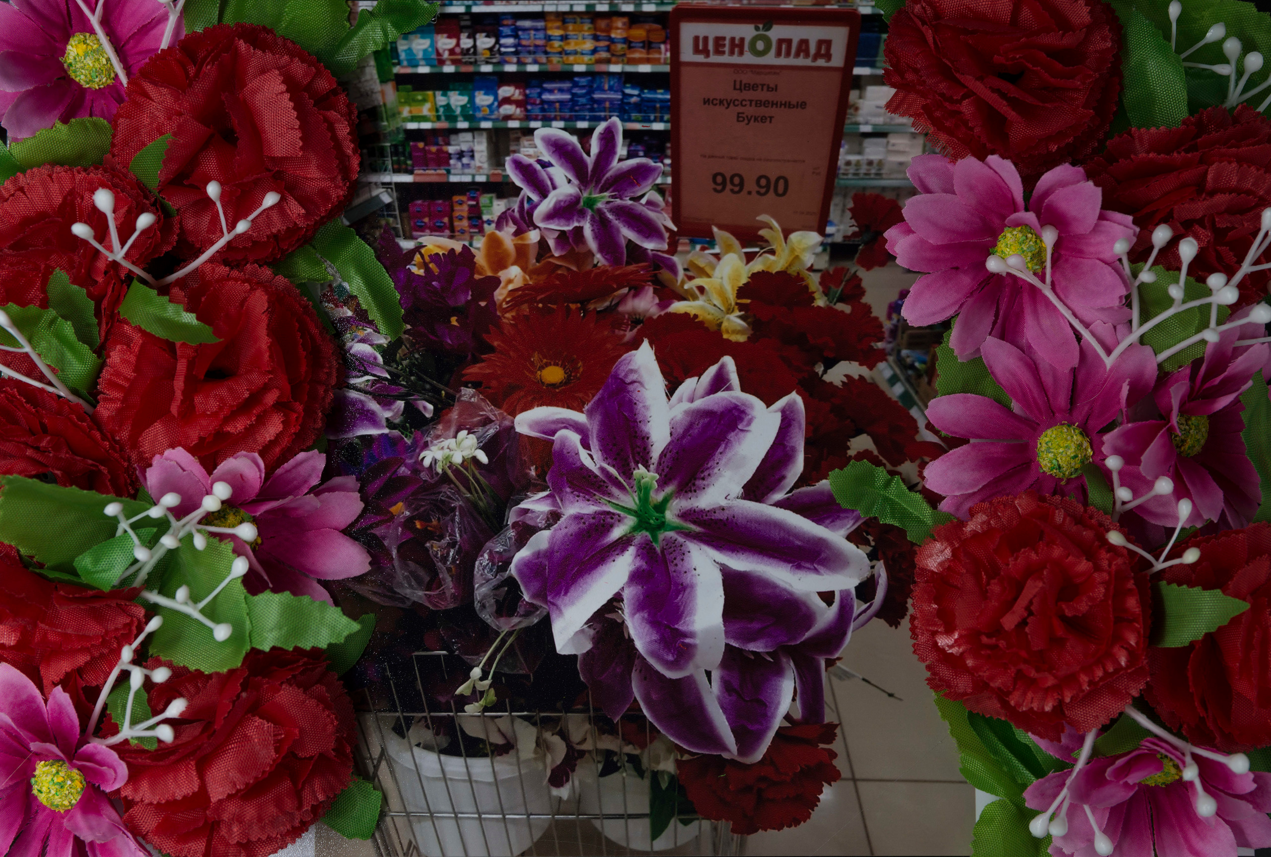 Мой монохромный друг. Plechinta Ekaterina — documentary photographer