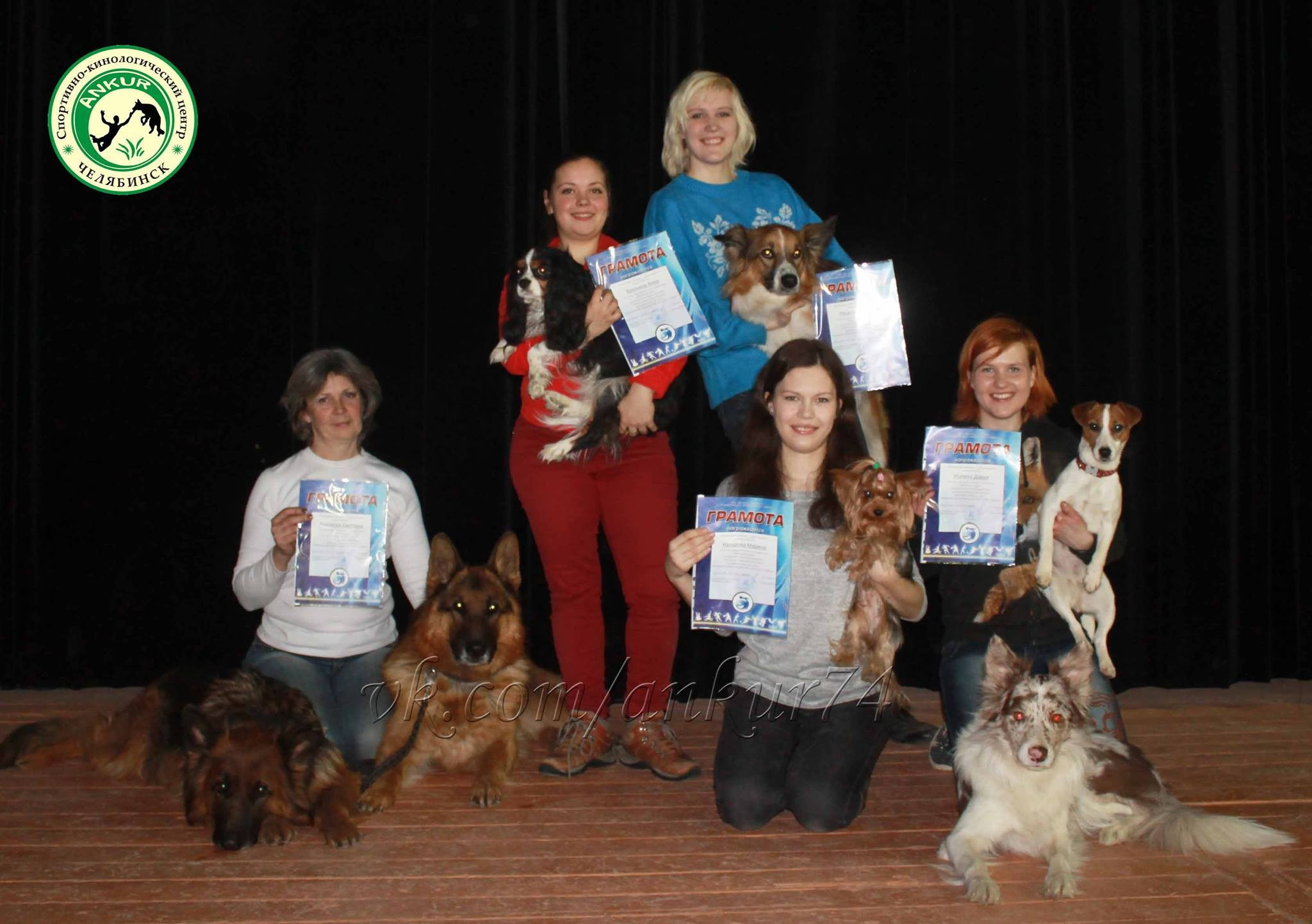 О нас. BLGKV питомник собак