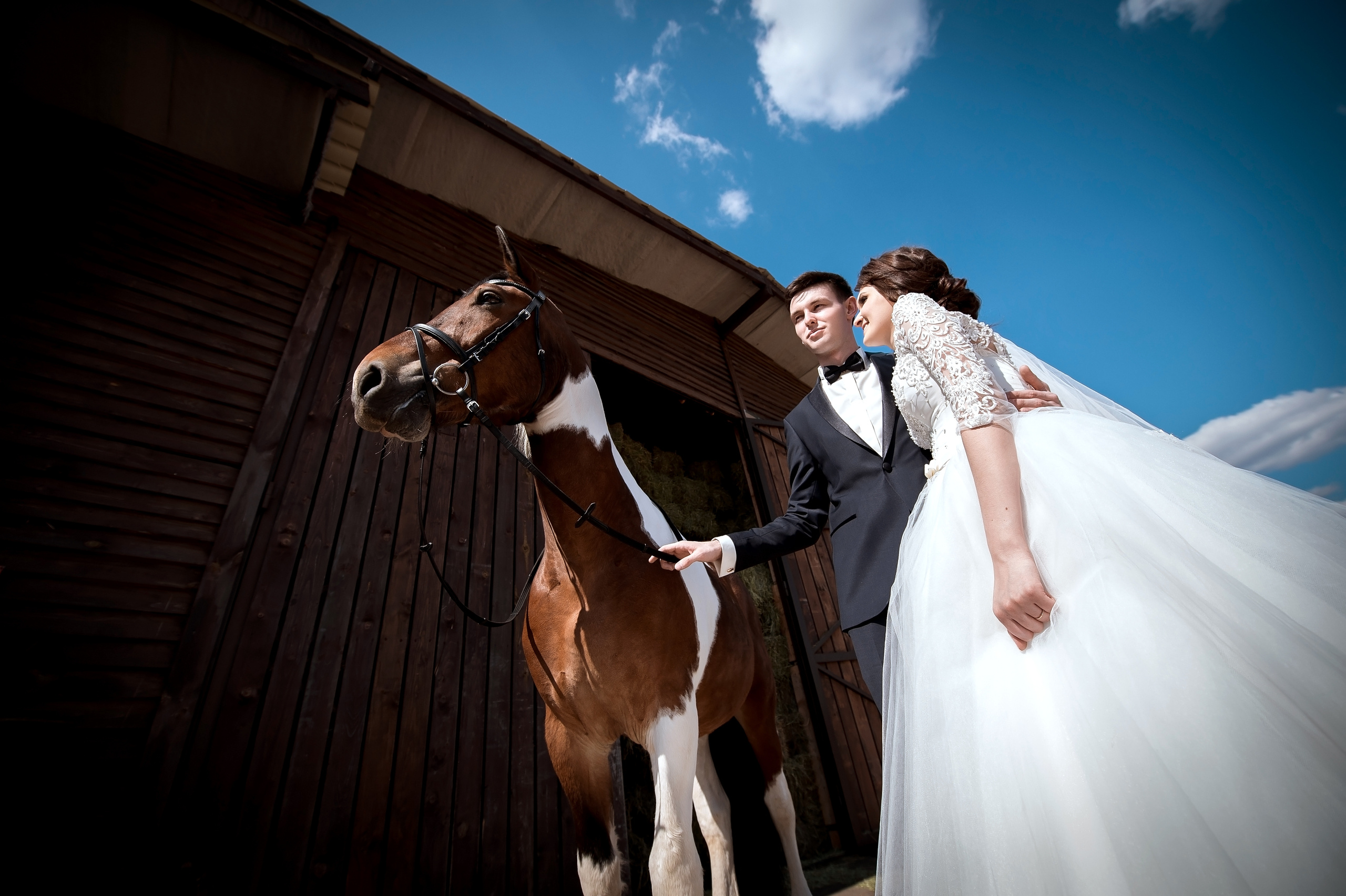 Свадебная фотосессия с лошадьми и банкетом в Щелково. Свадебный и семейный фотограф Виктория Носачёва. Щелково, Москва и МО