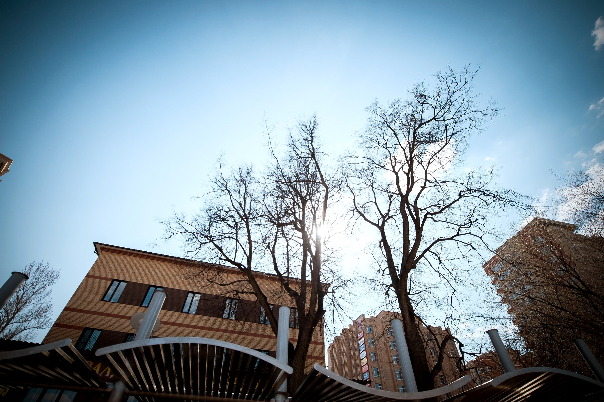 Свадебная фотосессия с лошадьми и банкетом в Щелково. Свадебный и семейный фотограф Виктория Носачёва. Щелково, Москва и МО