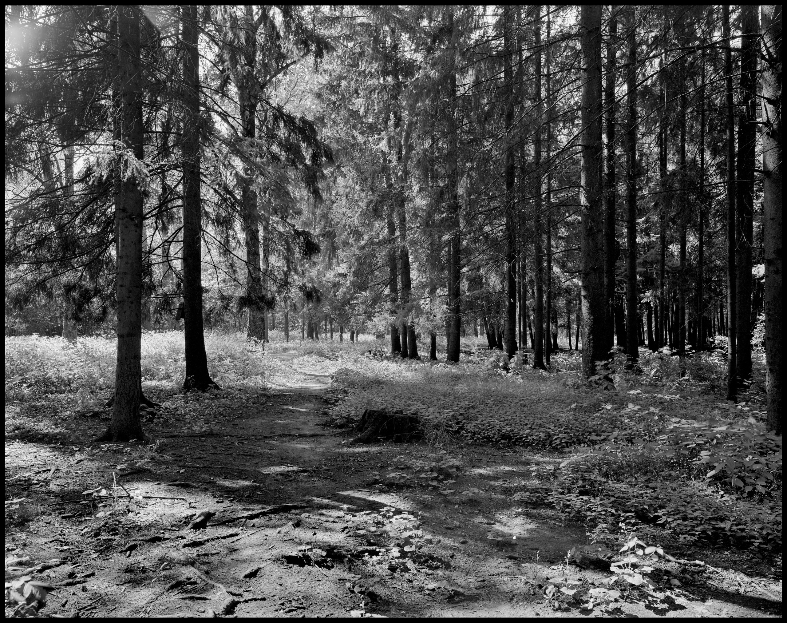 Landscape. Sergey Kondriuk art-photographer | artist