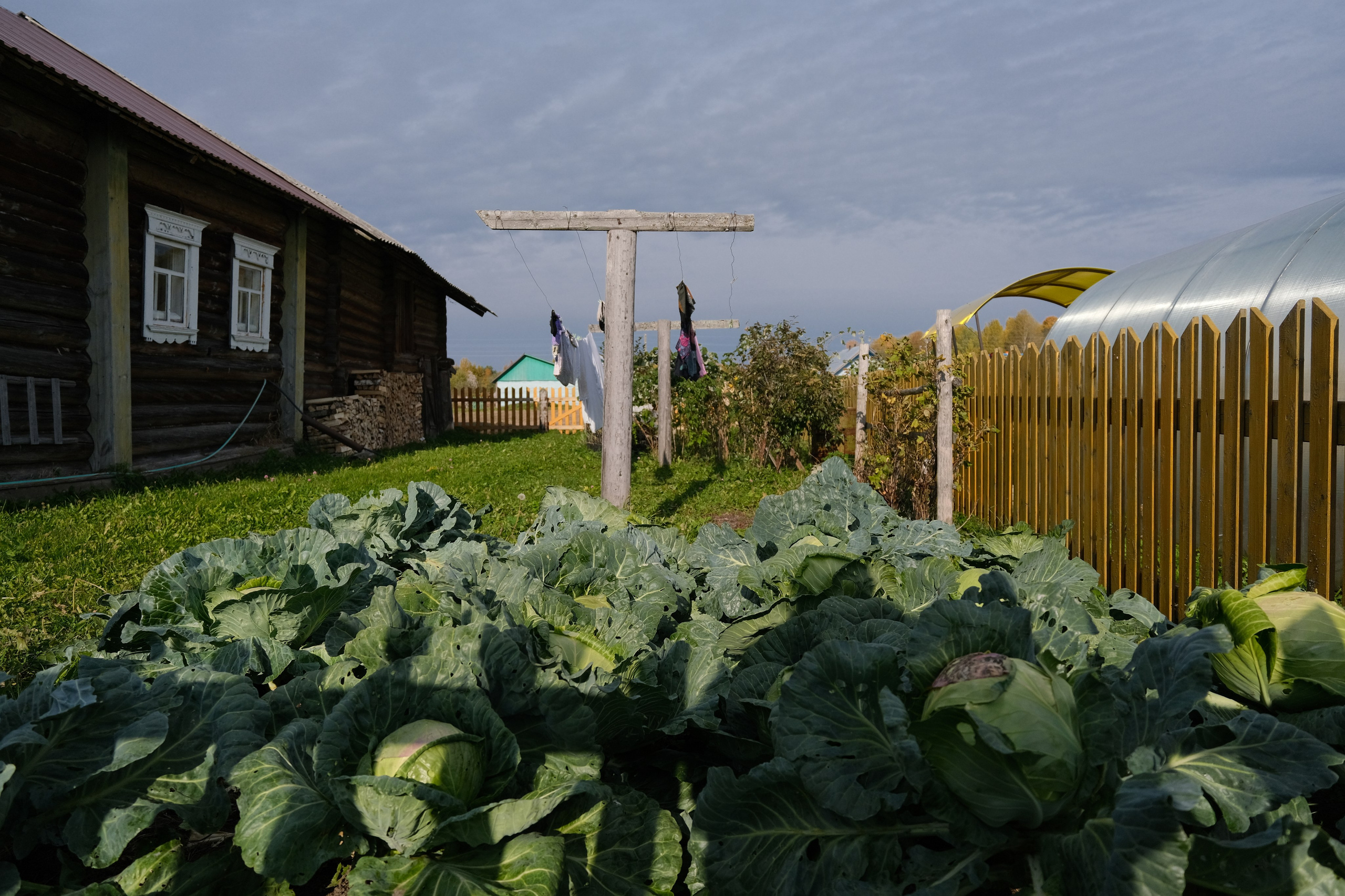 Русский север 27.09.25 — 05.10.25. Фотострелка