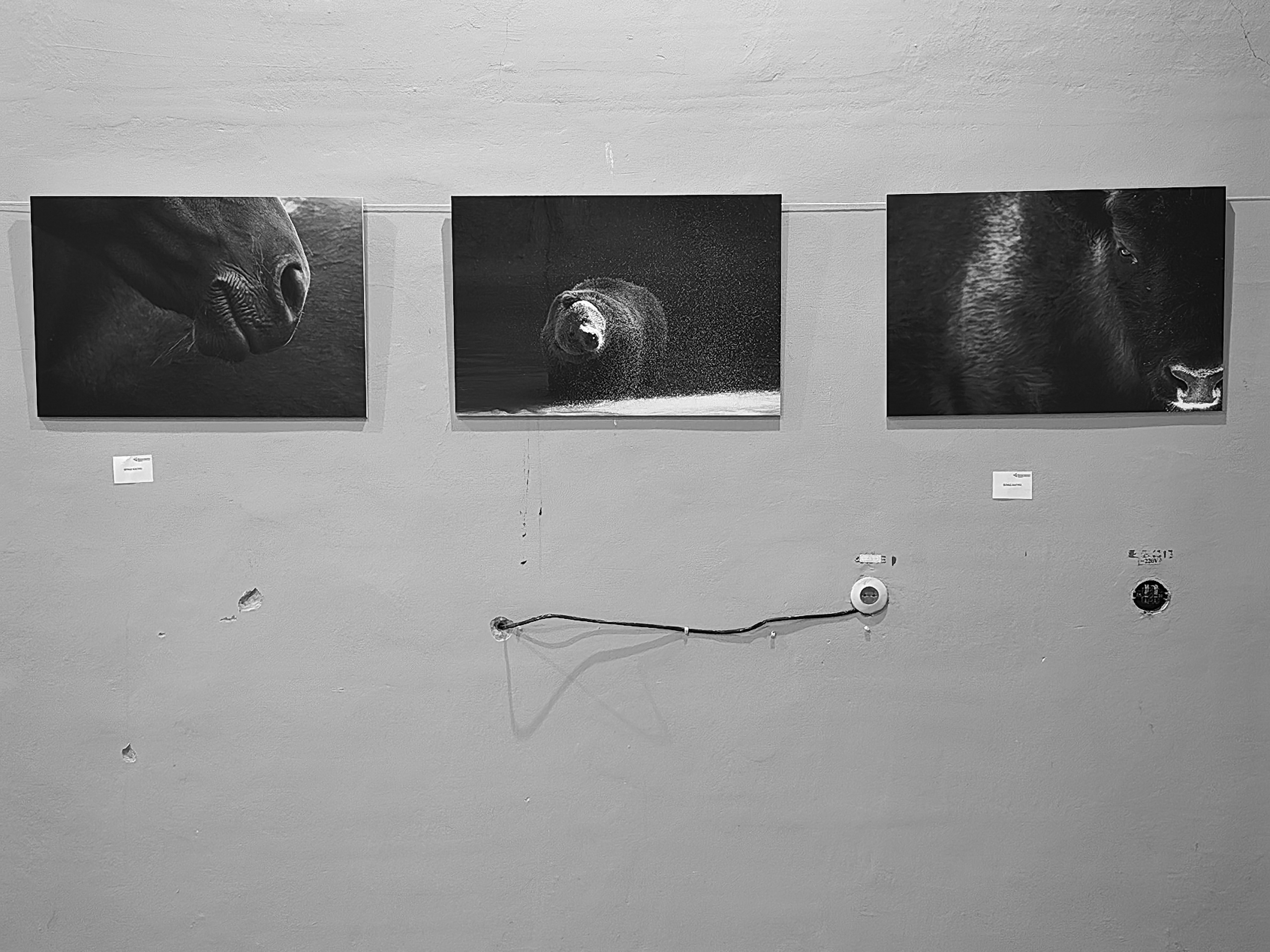 Боровск 02-03.12.2023. Фотострелка