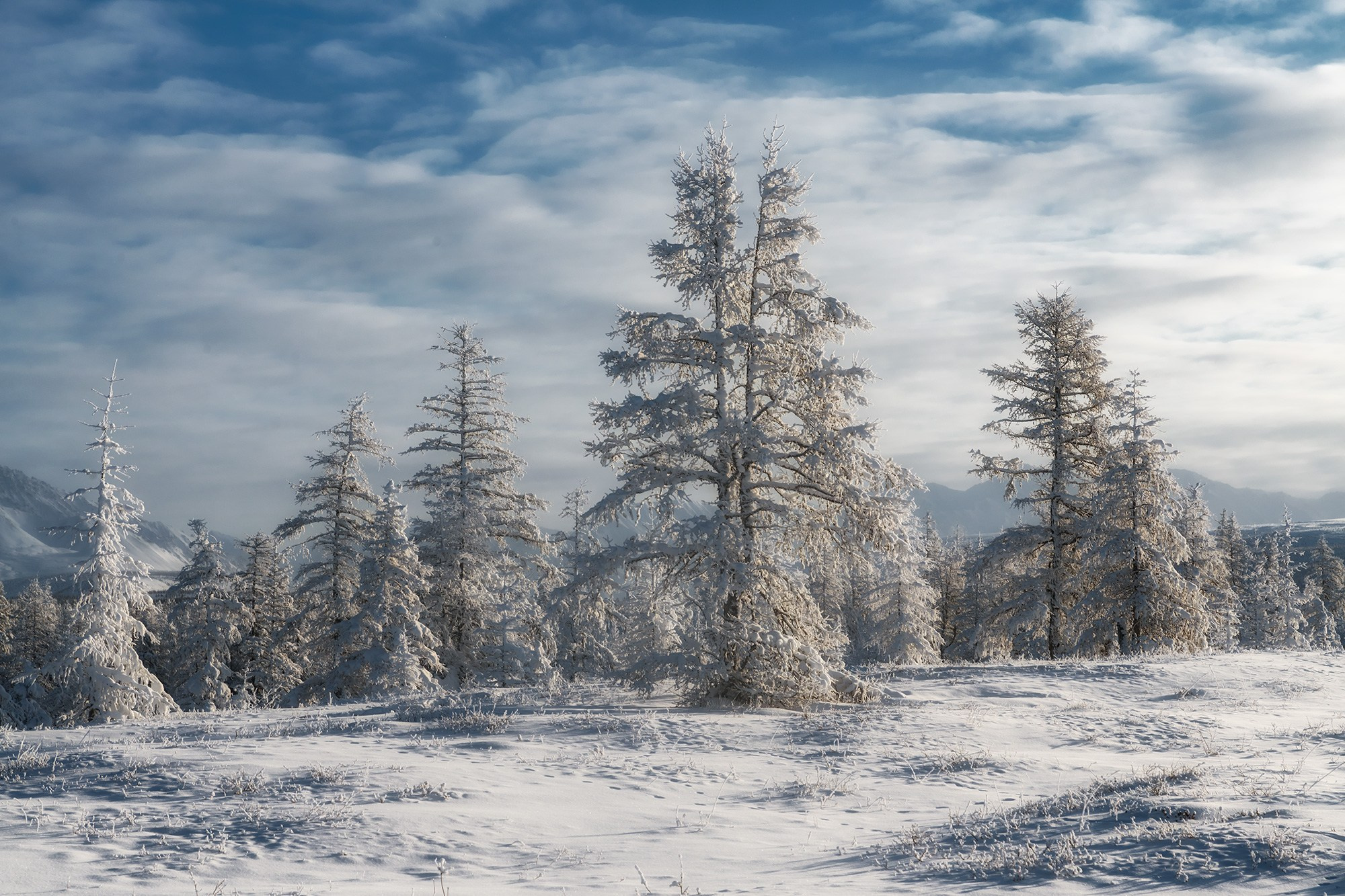 Программа зимней фотоэкспедиции в хребет Улахан-Чистай. Якутия