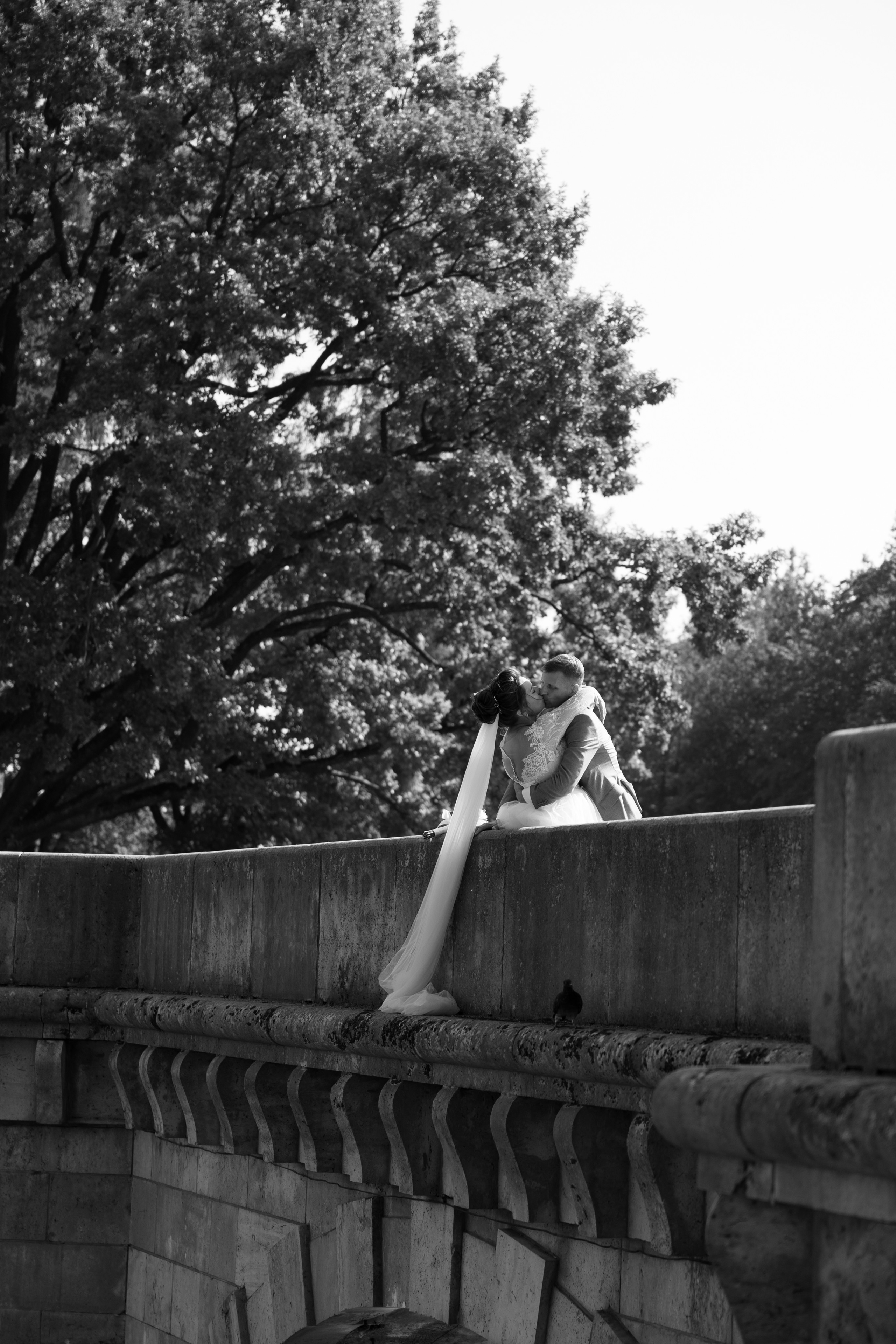 Александр и Яна. Свадебный фотограф в Санкт — Петербурге и Ленинградской о