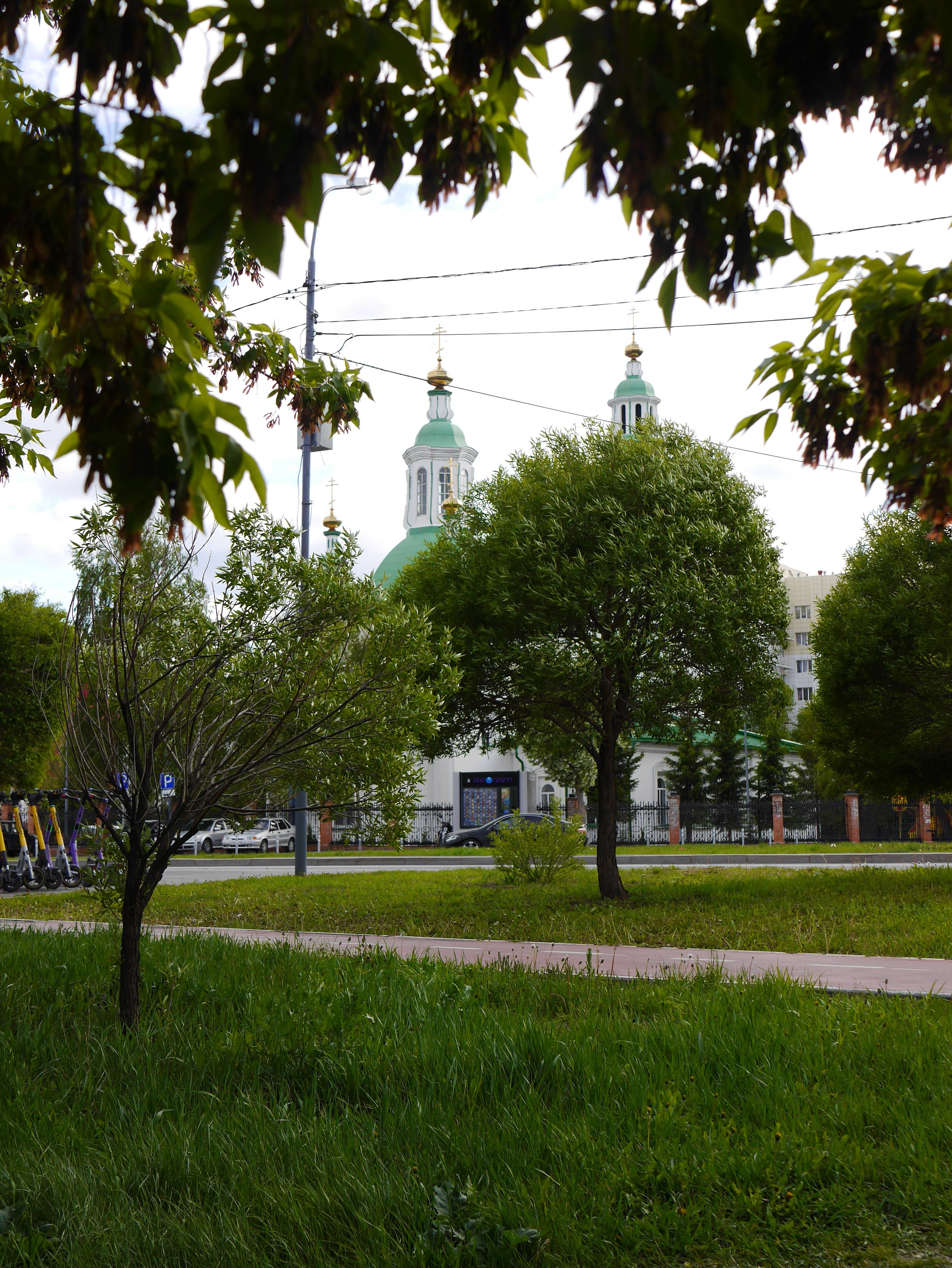 Вся красота мира в одной картинке