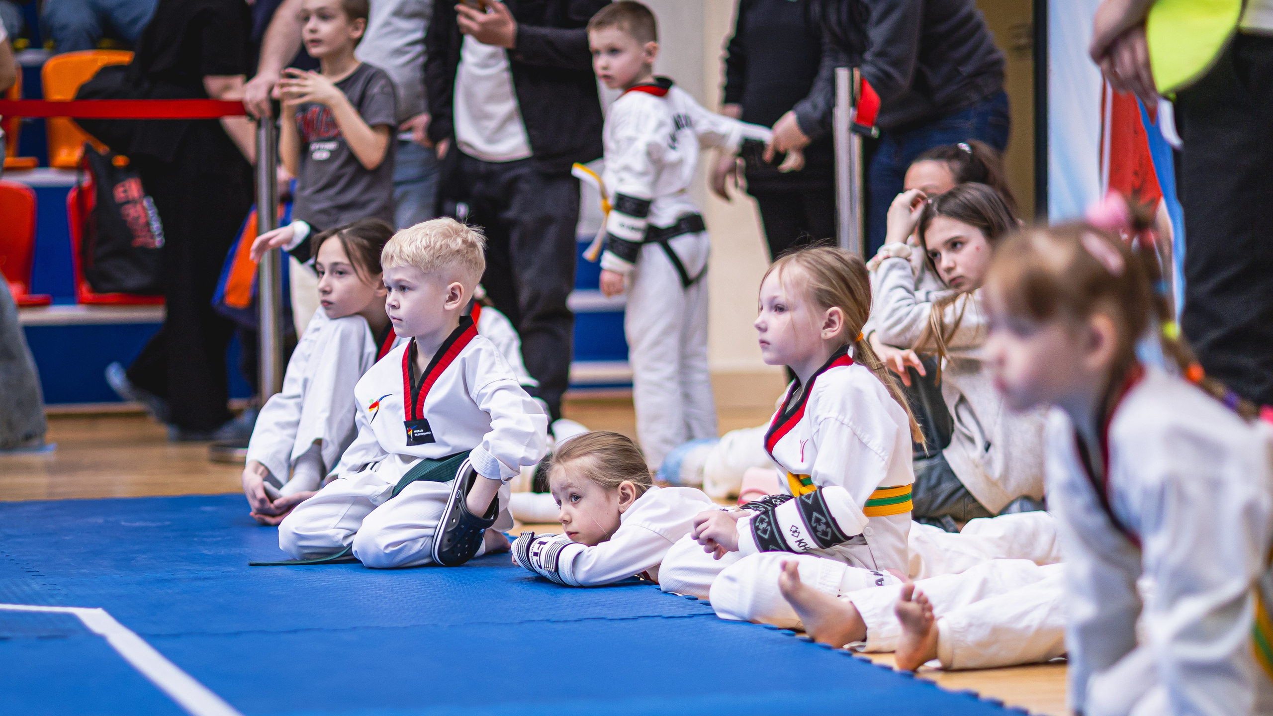 Турнир ВДЮФСОО «ФЕДЕРАЦИЯ ДЕТСКОГО ТХЭКВОНДО РОССИИ» и МОО СПКЕ «ЭРИДАН» по «СПОРТИВНОМУ БОЮ КЕРУГИ». Спортивный фотограф Максим Серегин