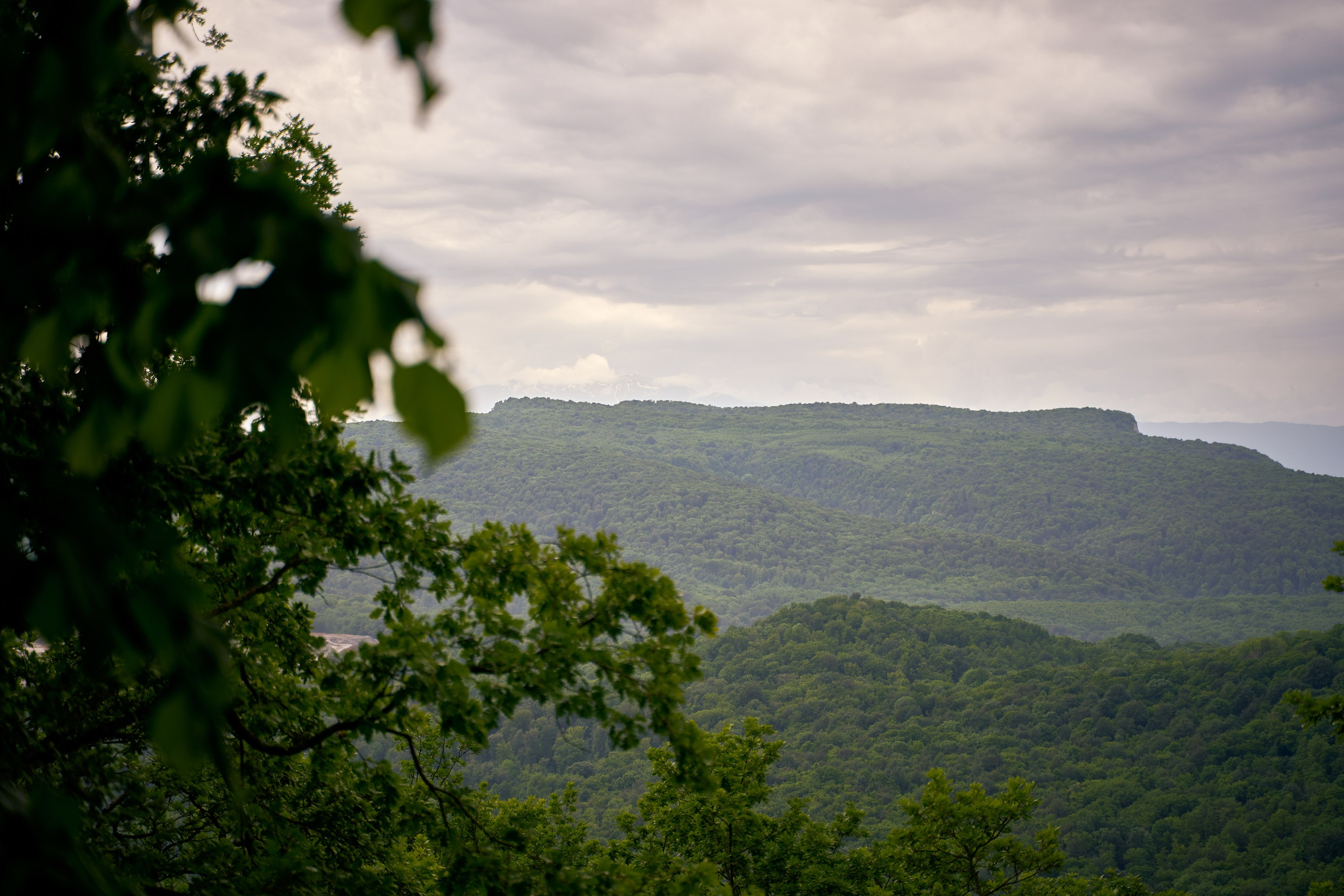 Монастырь. Петр Ступень. Свадебное, семейное фото и видео. Москва. Краснодар