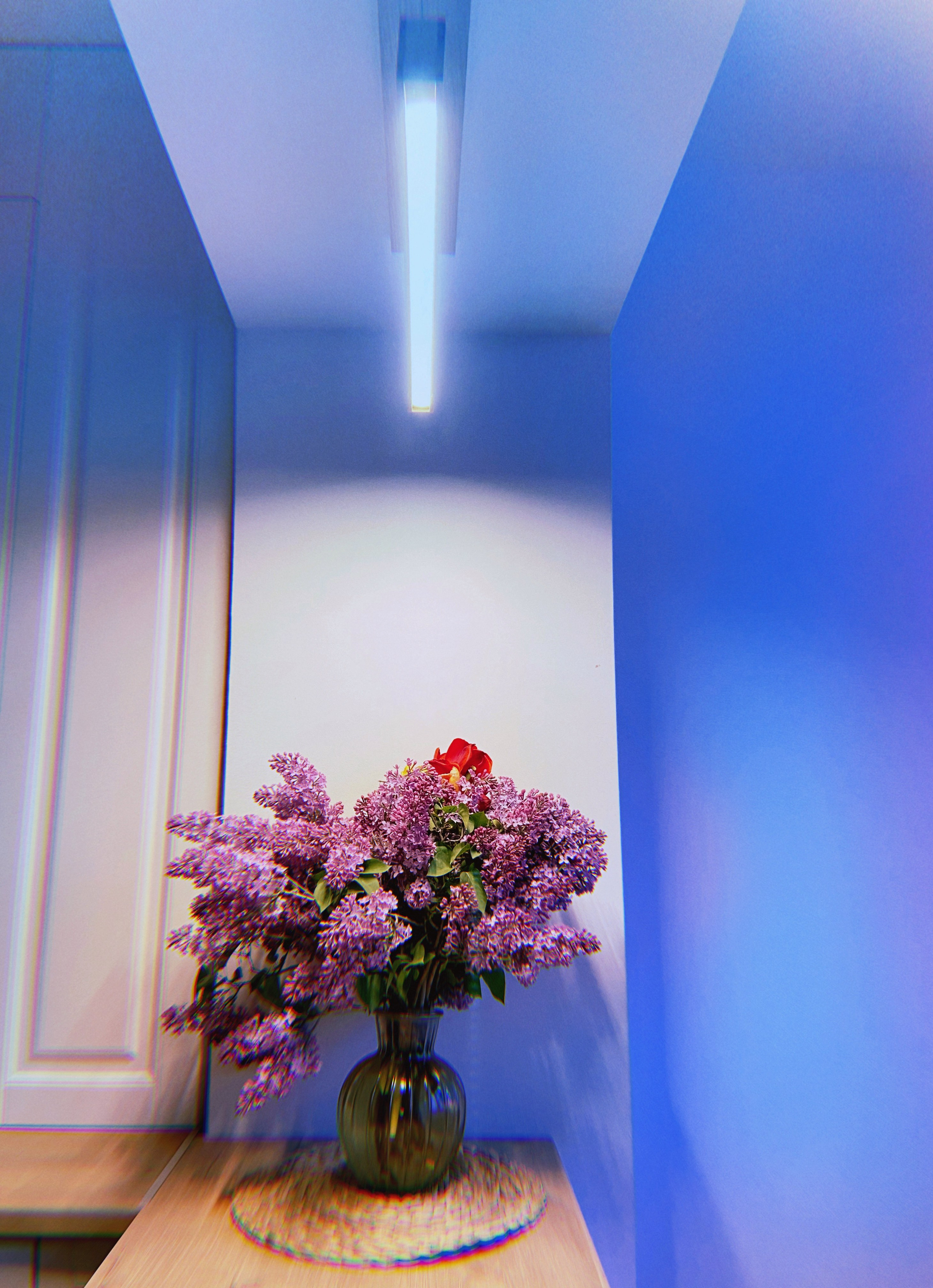 МК Мобильная фотография. Wedding photographer