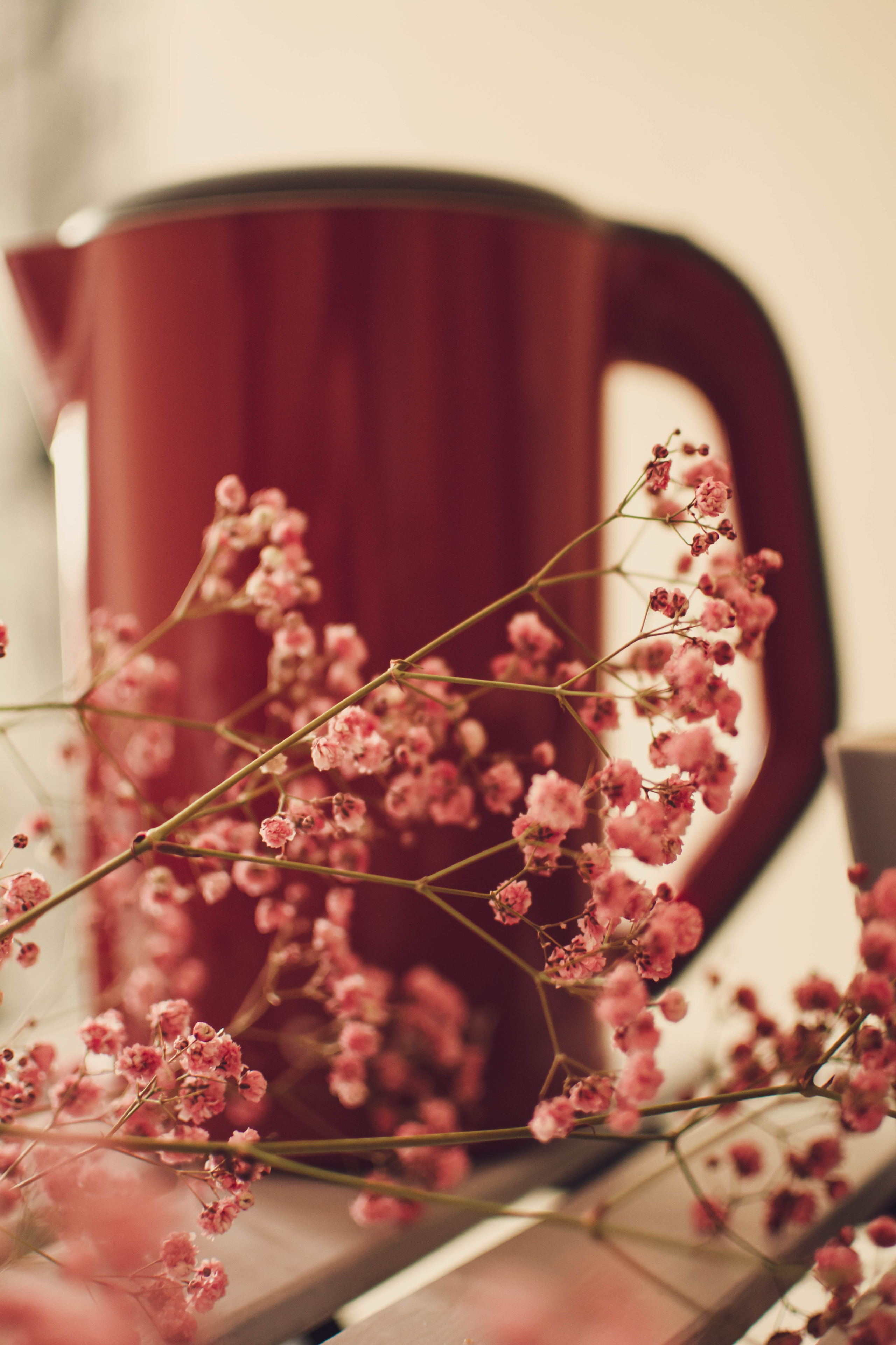 Услуги фотографа. Предметный и контентный фотограф в Москве и Зеленограде Анастасиевская