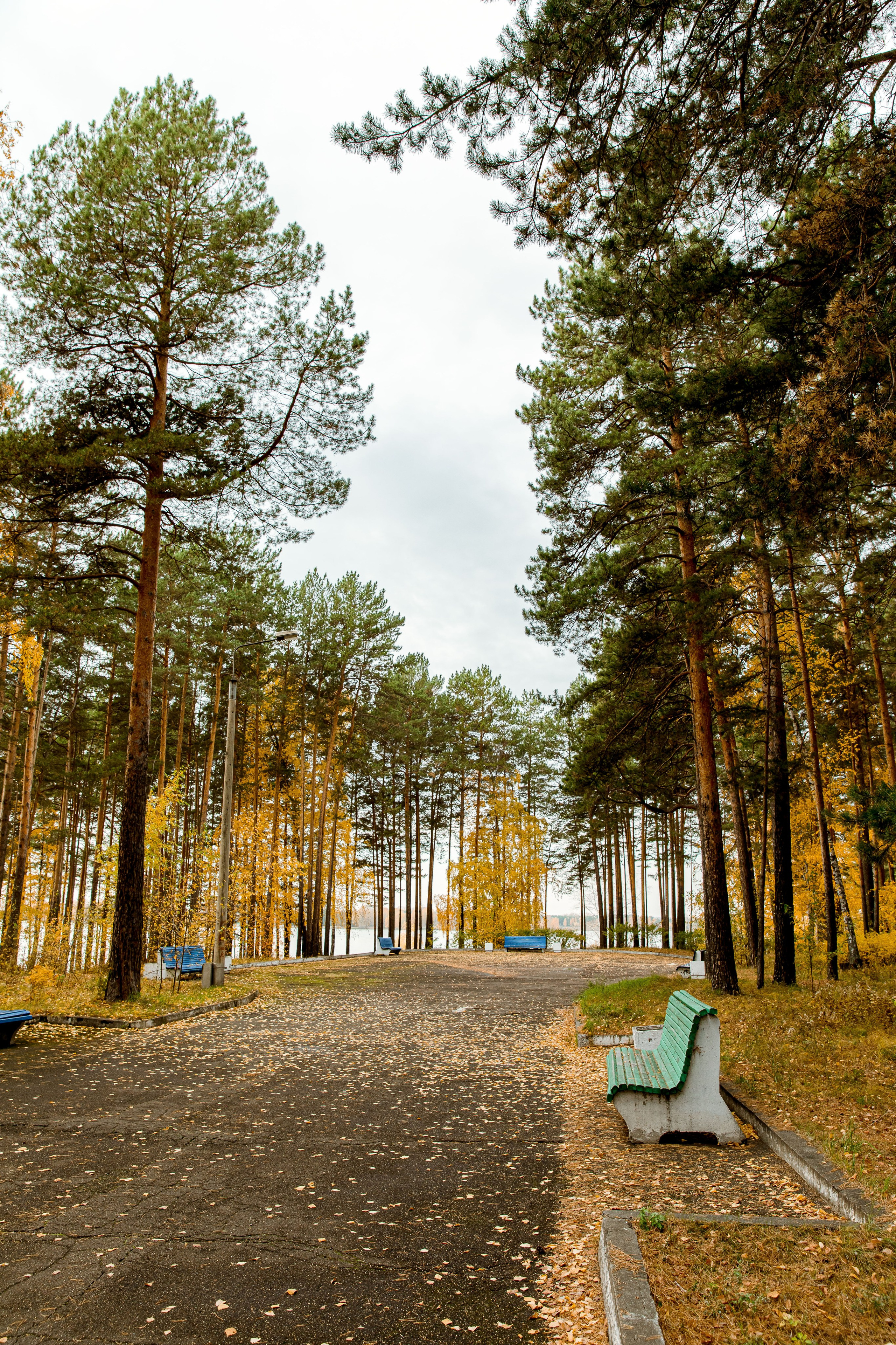 Осень в парке. Семейный и детский фотограф в Железногорске Саламахо Ольга