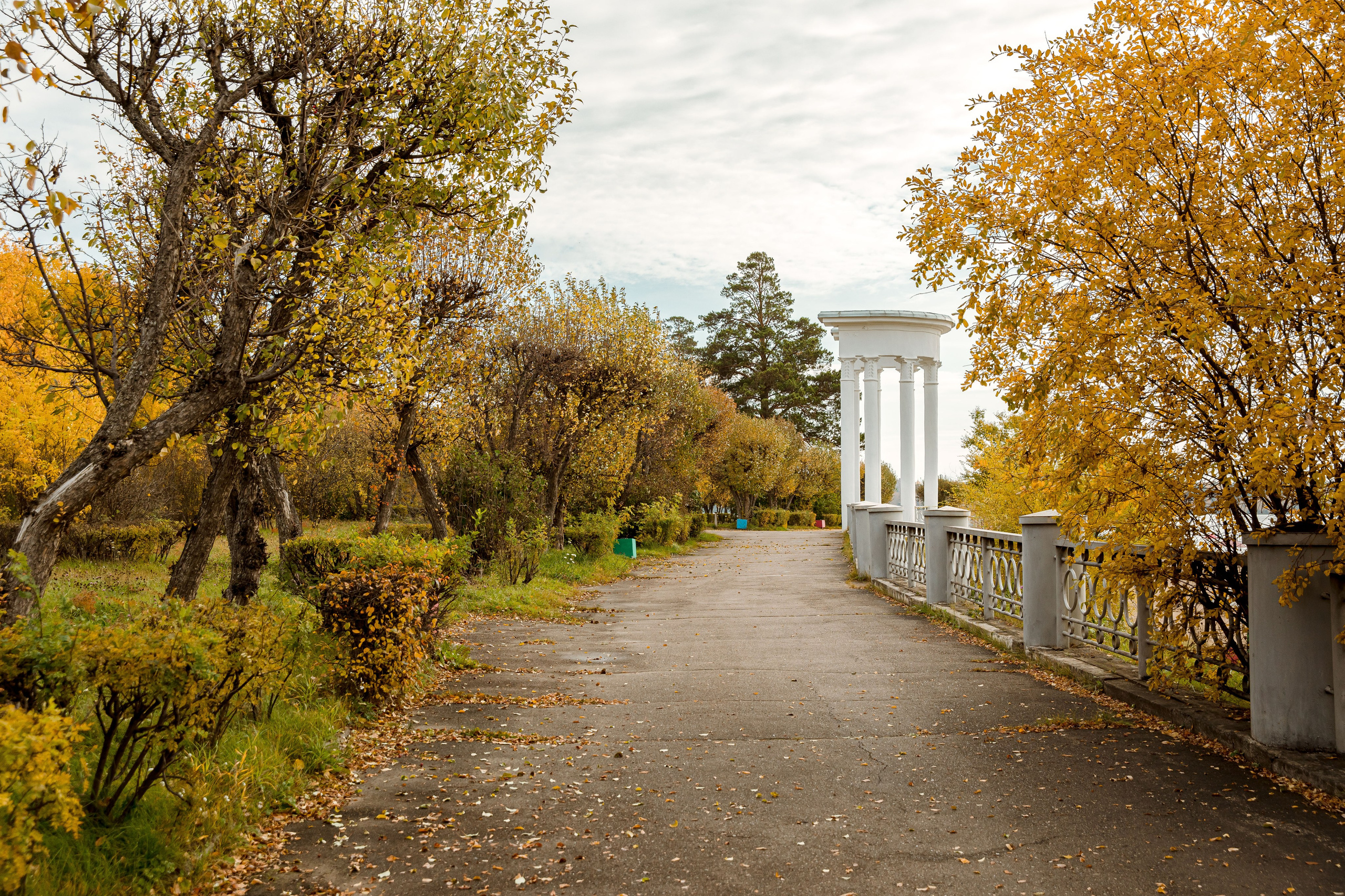 Осень в парке. Семейный и детский фотограф в Железногорске Саламахо Ольга