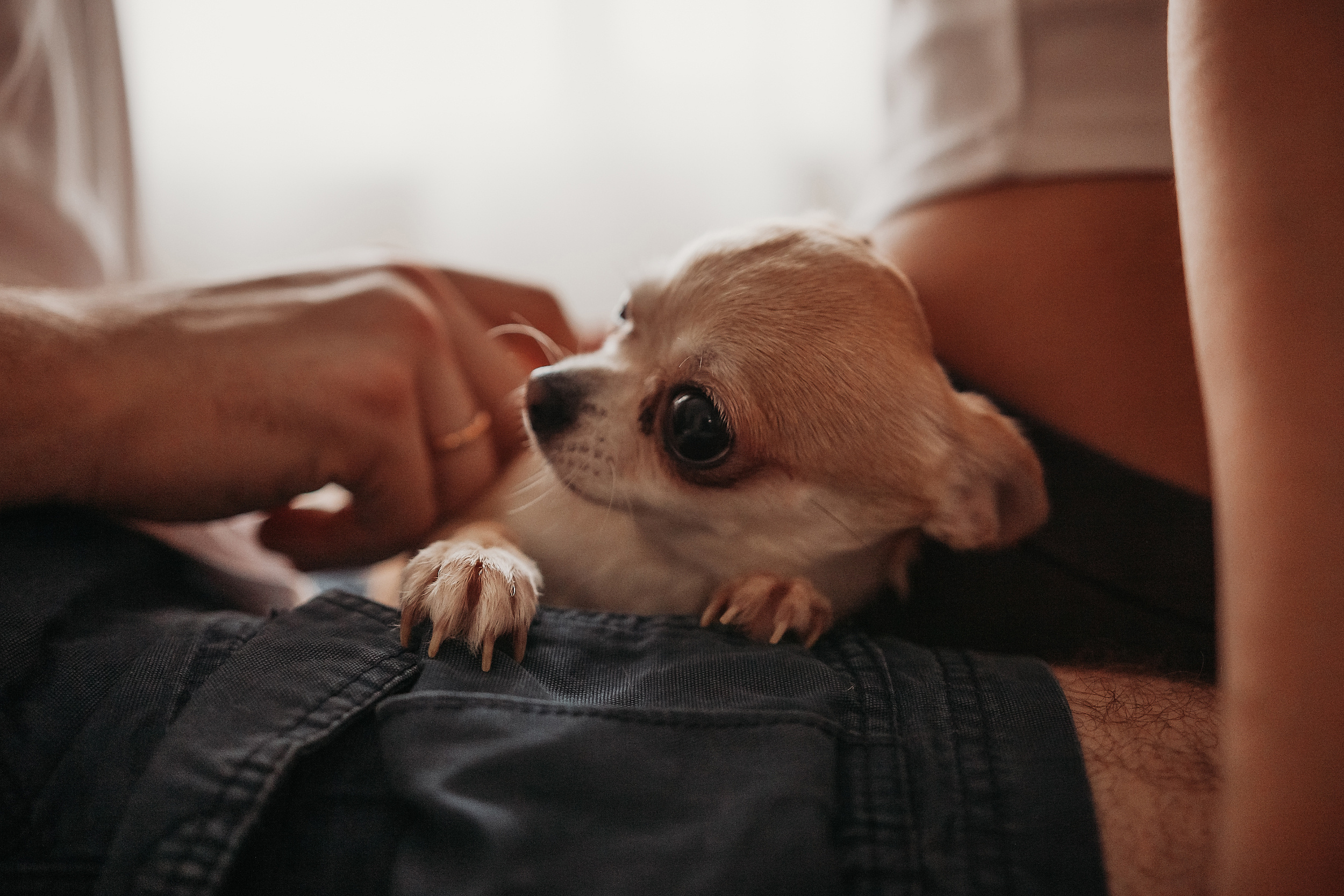 Фотосессия дома — Lifestyle. Детский и семейный фотограф в Москве Вера Орлова