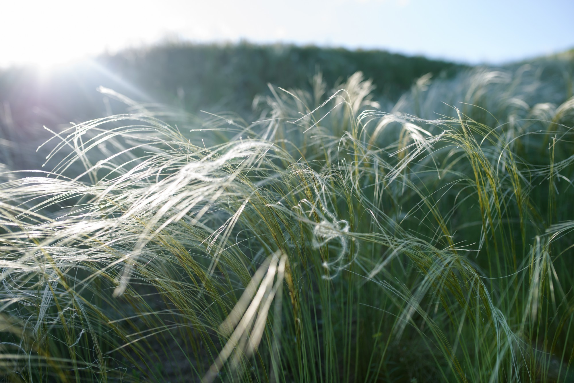 Quarantines from Voronezh. Porto Photographer Kristina Brazhnikova