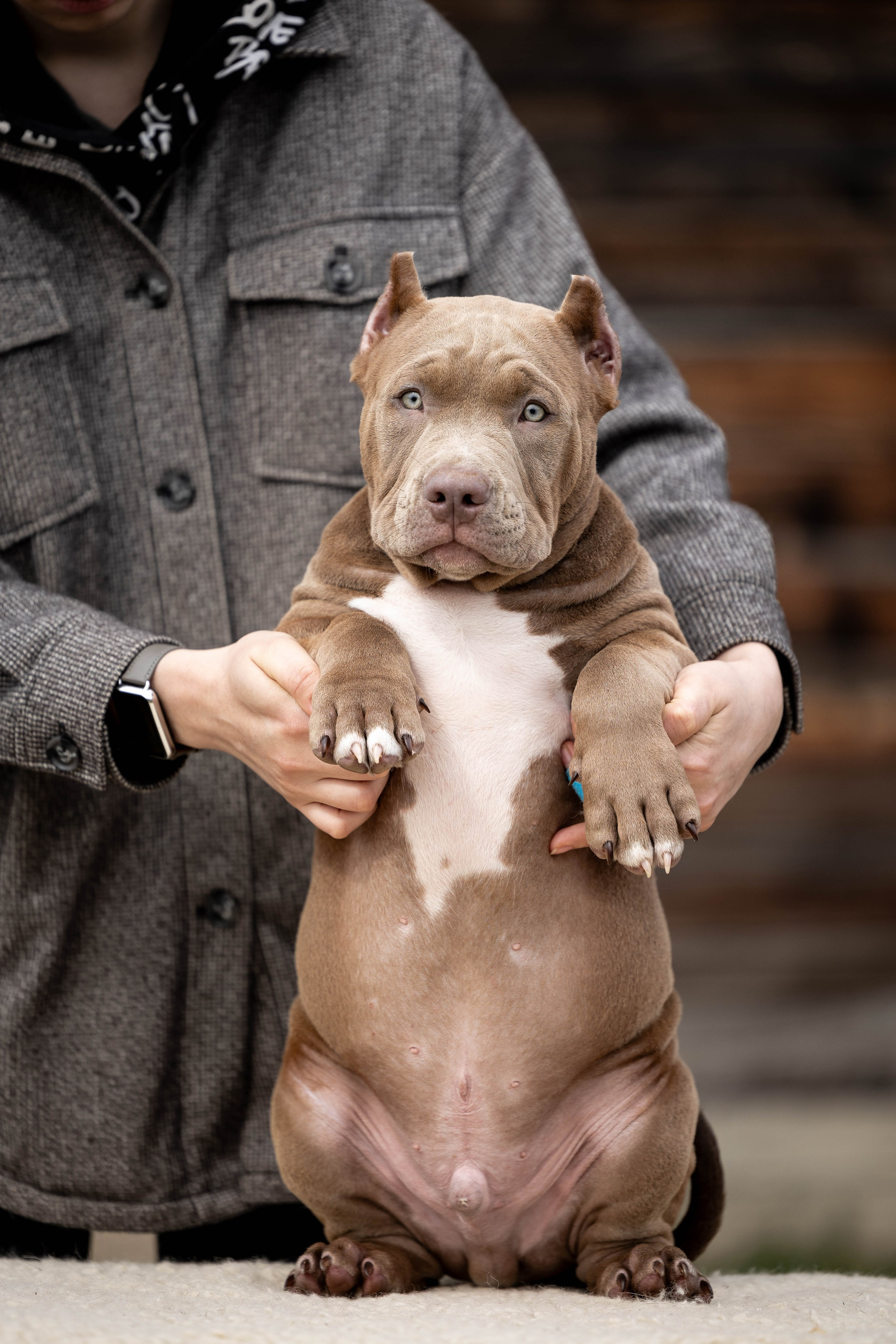 Фотограф Анималист в Перми Анастасия Остерман