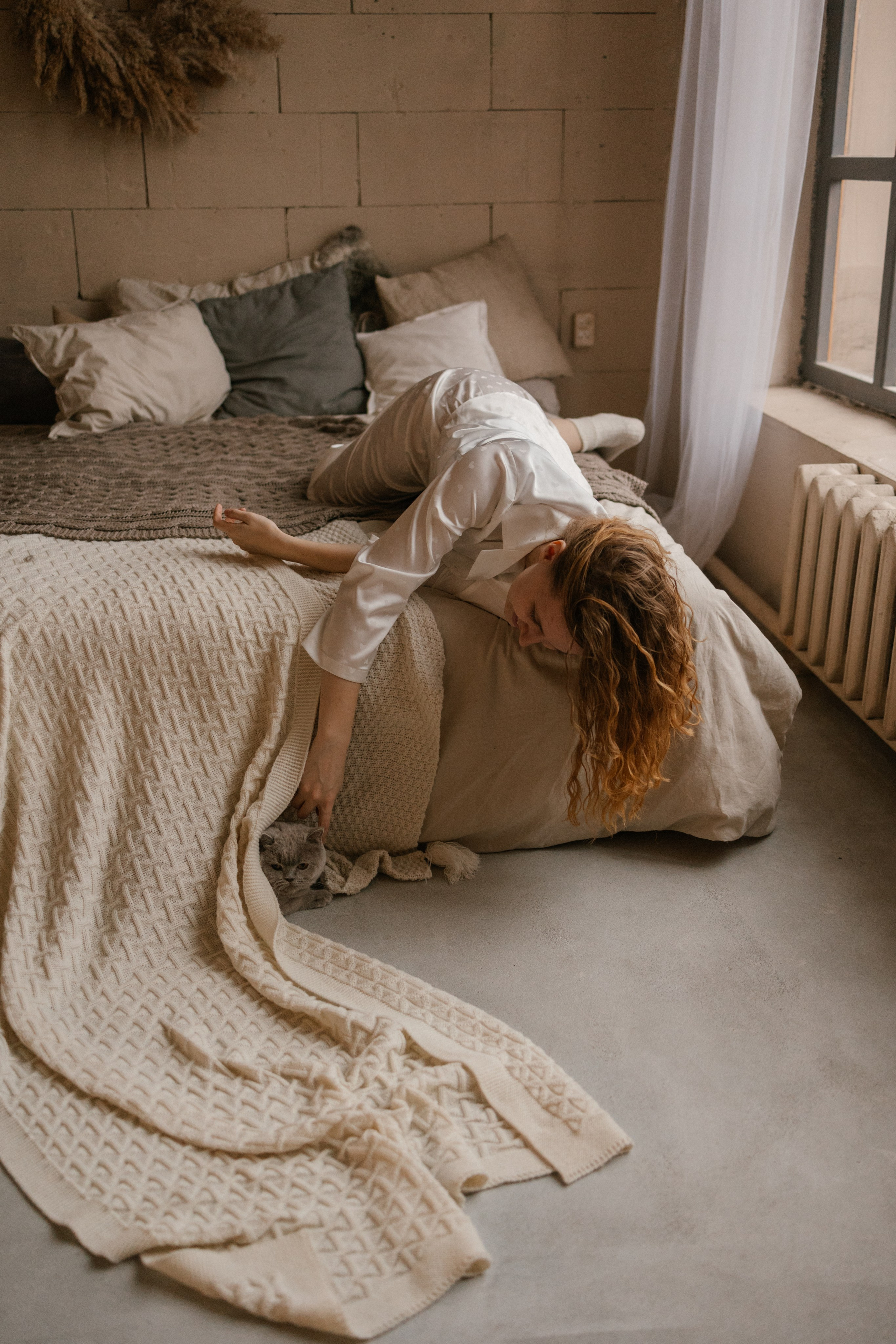 Новогодние фотостудии. Фотограф — Анималист | Санкт-Петербург