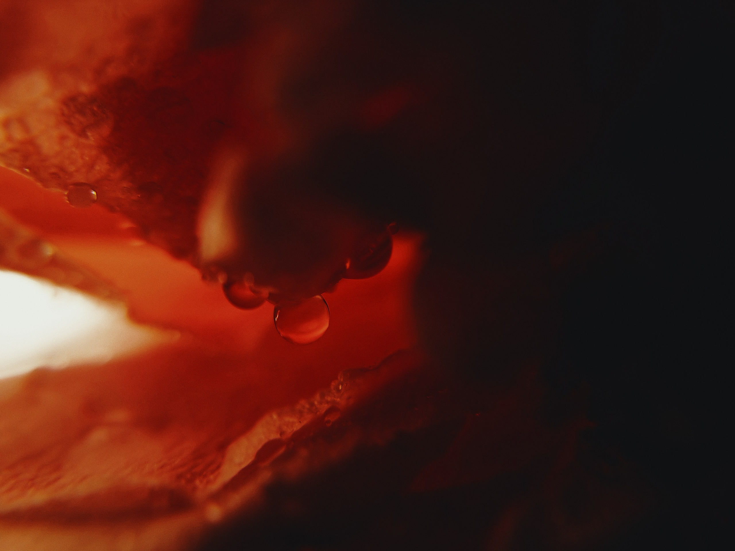 Фотограф из Санкт-Петербурга/Катерина Зайцева