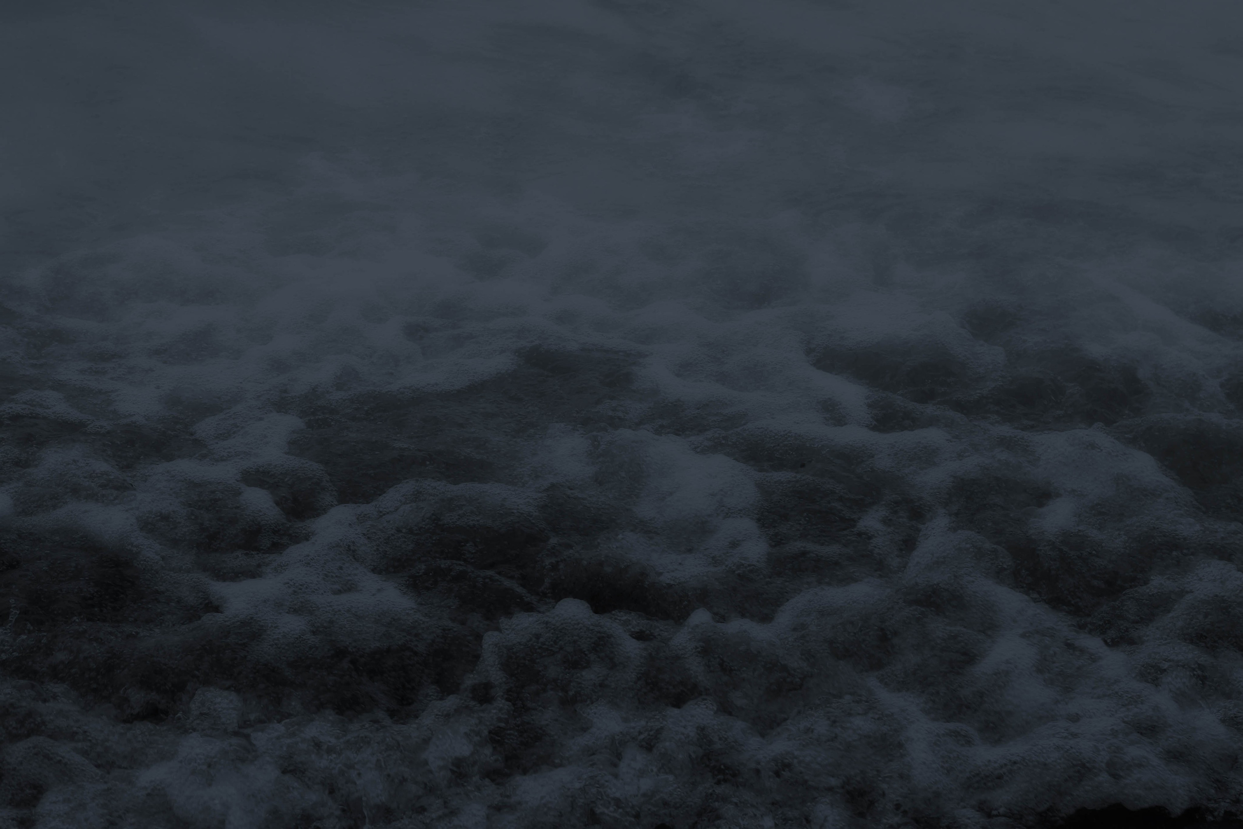 Тропа волн. Julia Altukhova, multimedia artist