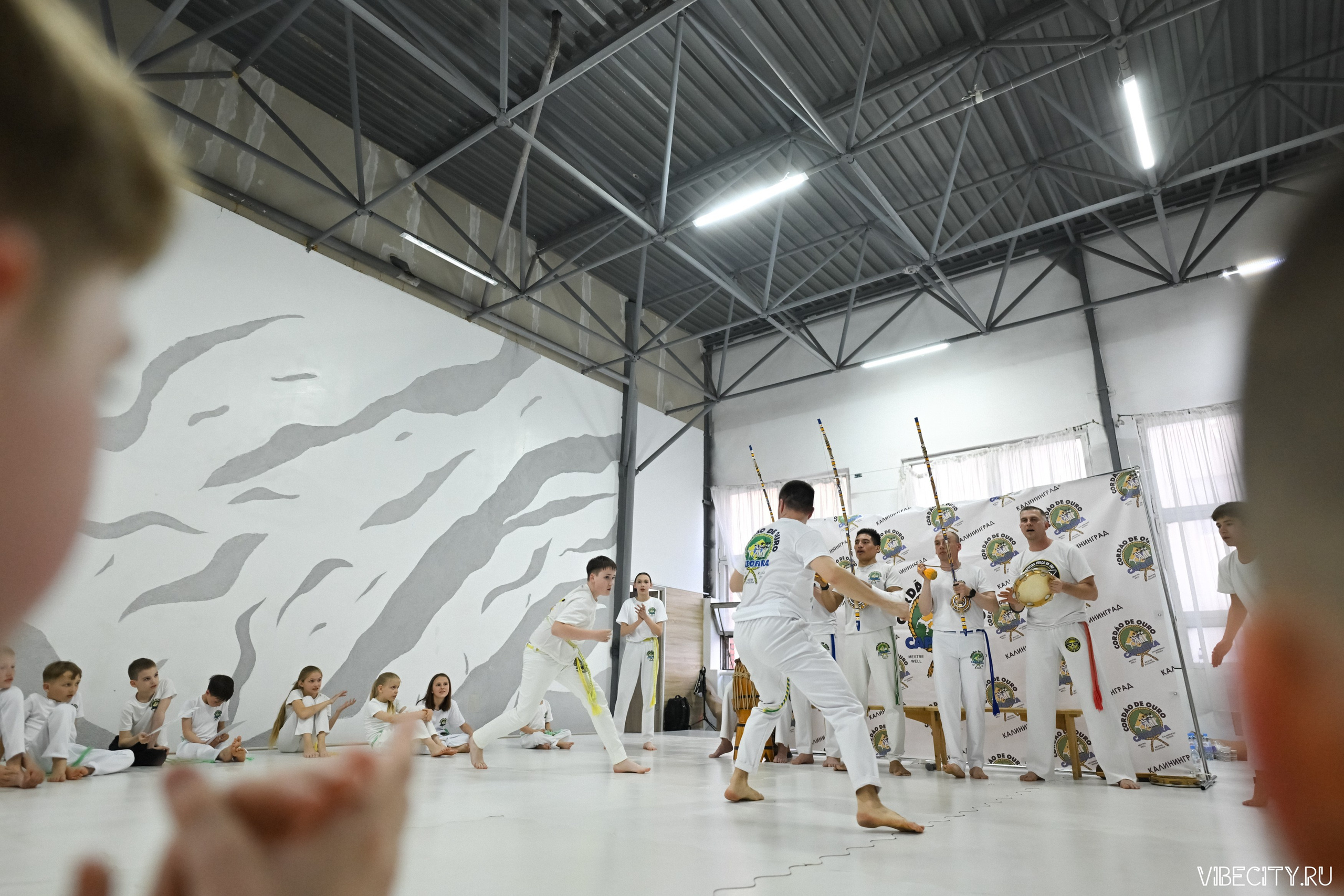 Capoeira: 4-е batizado e Troca de cordao. VIBECITY.RU Вайб Сити Ру Фоторепортажи Фотоотчеты Калининград