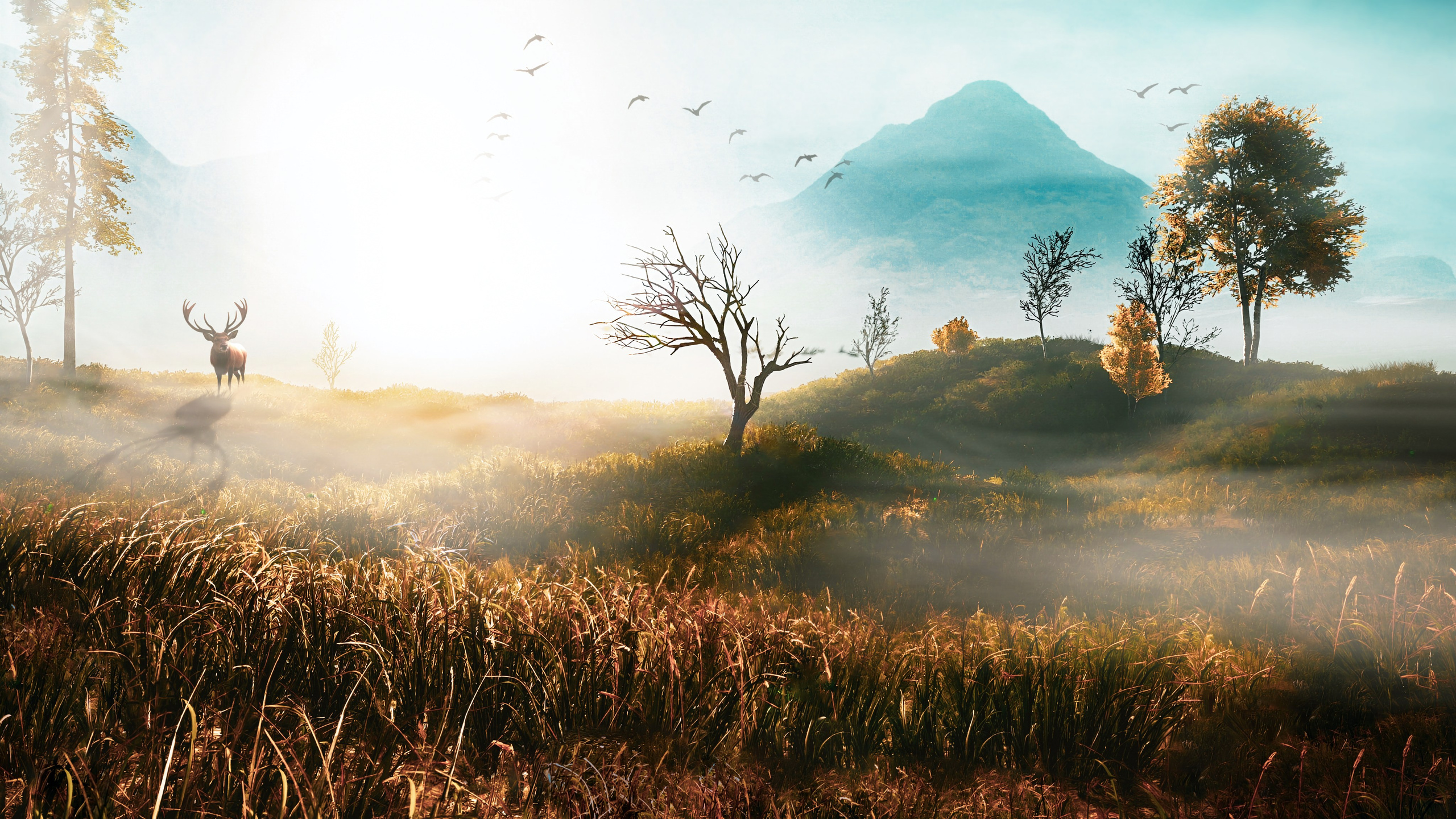 Egor Timofeev Photography