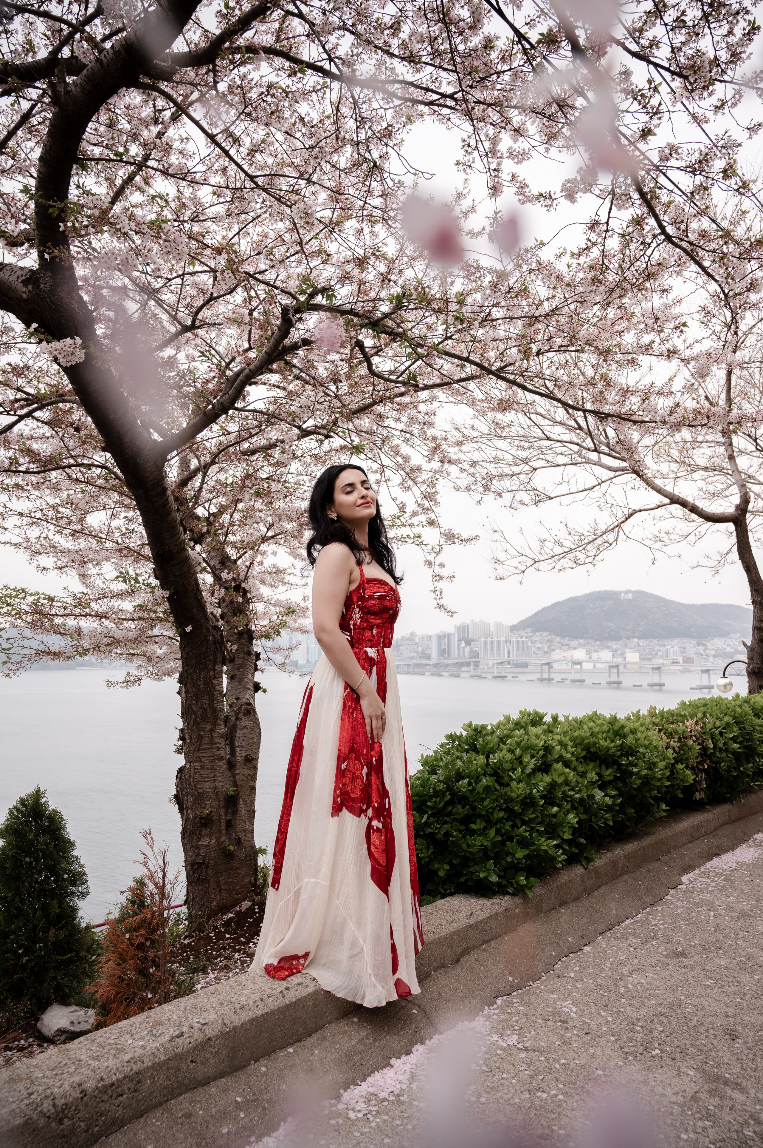 Spring sakura portrait at Oncheoncheon Cherry Blossom Road Busan