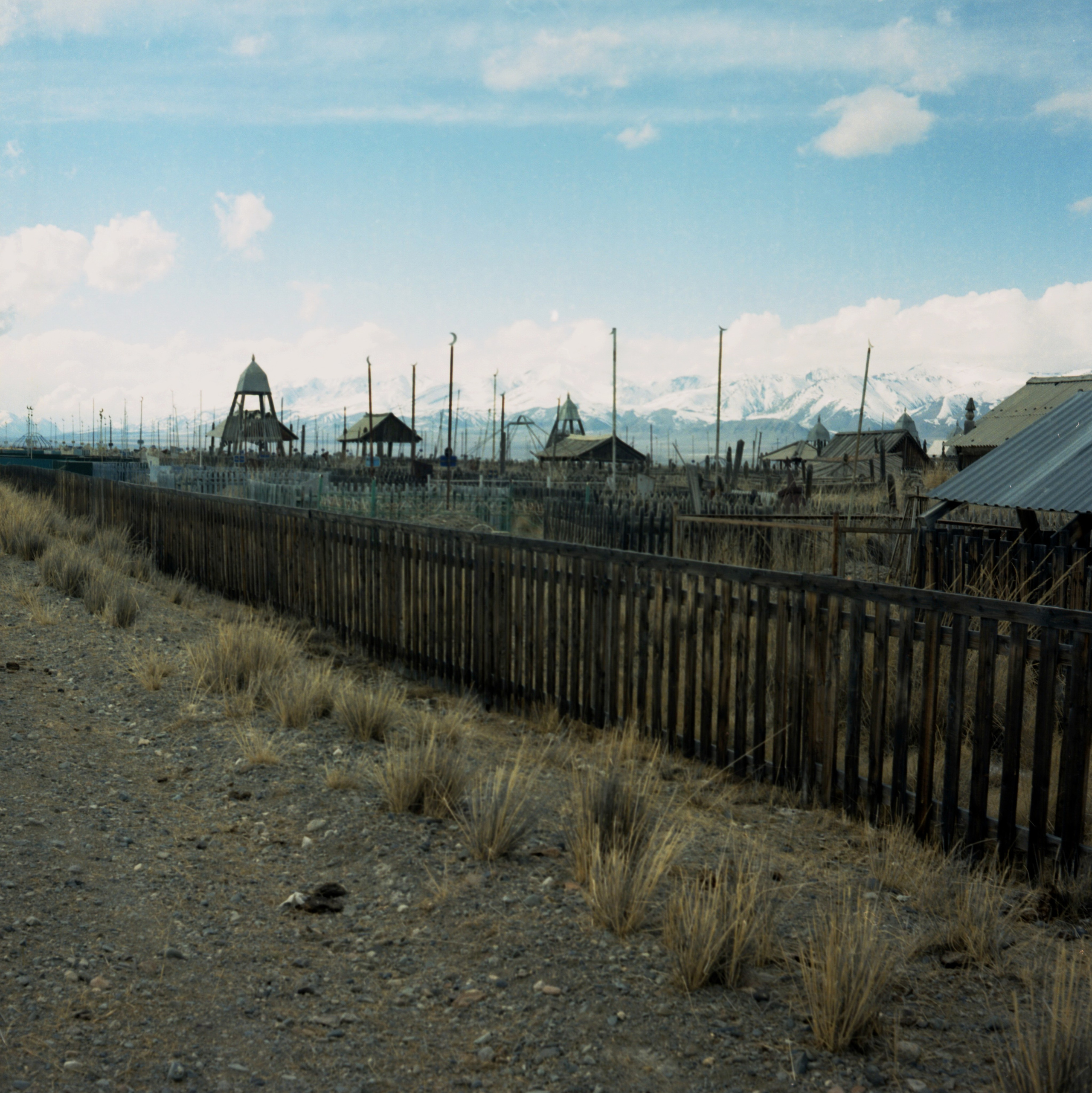 Алтай, Россия. Elena Nikitina. Photo Artist. Film photography. Prints