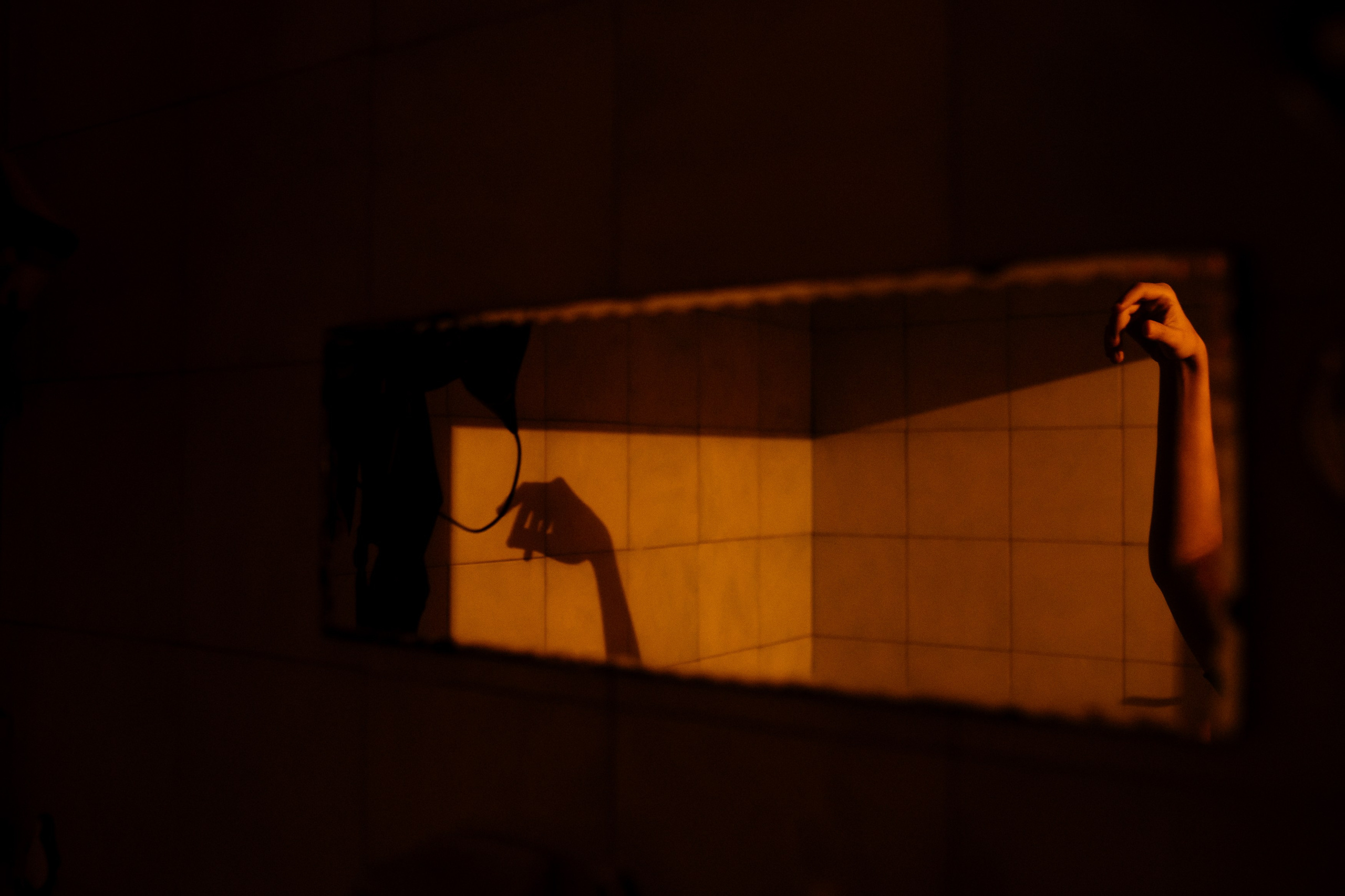 Мир, где рожден помидор. Андрейко Надежда