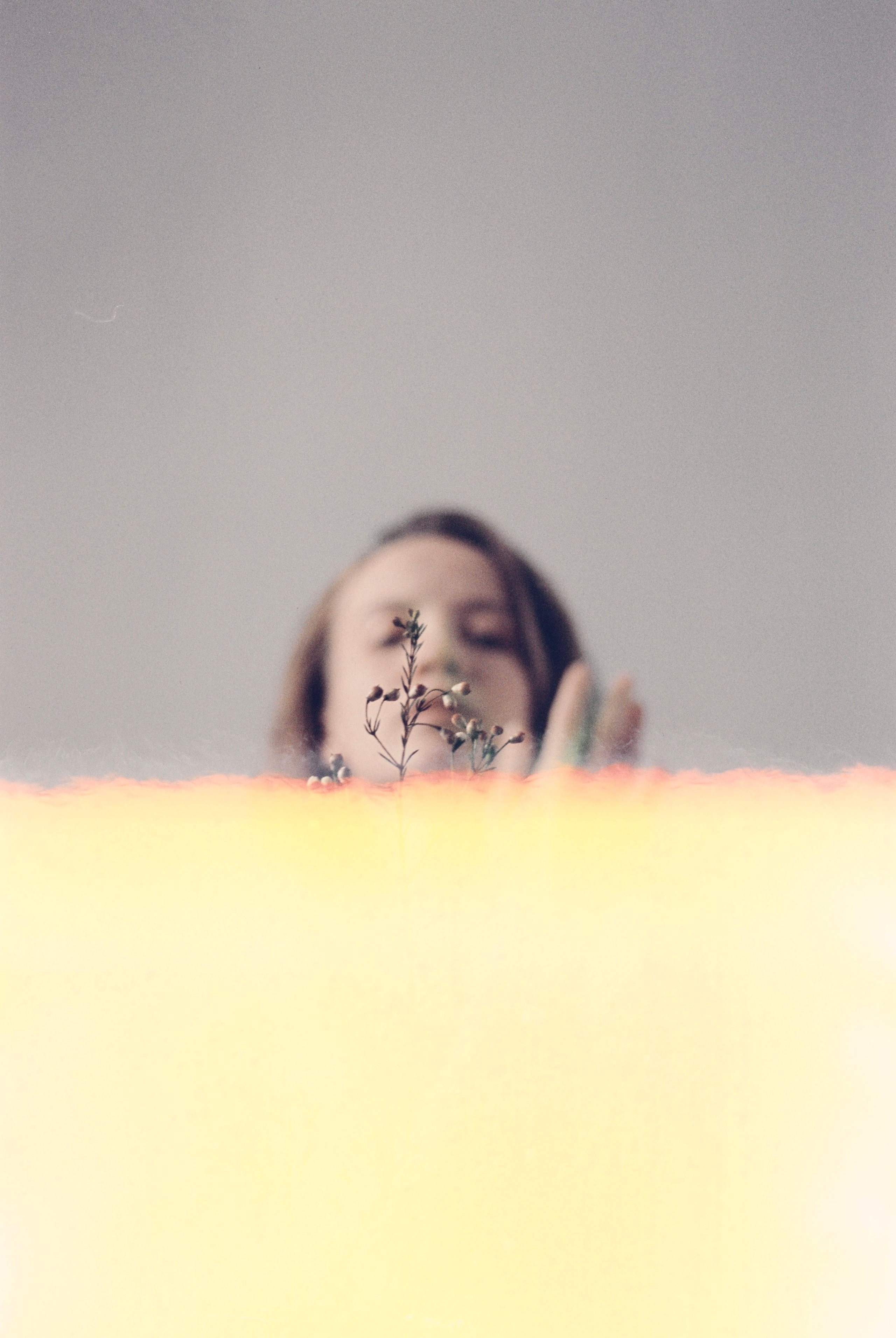 Док портрет