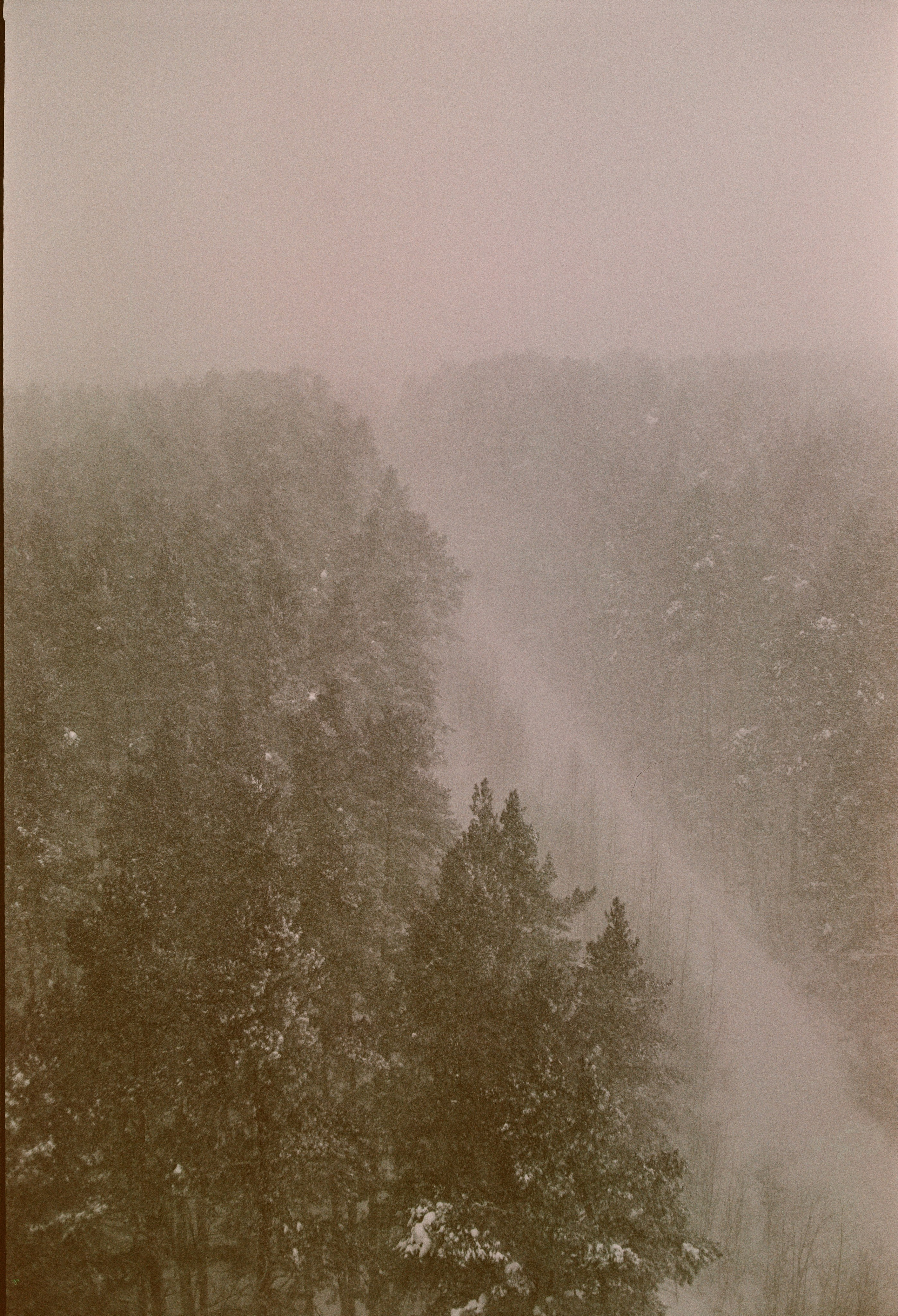 Автор: Митя Лаврухин