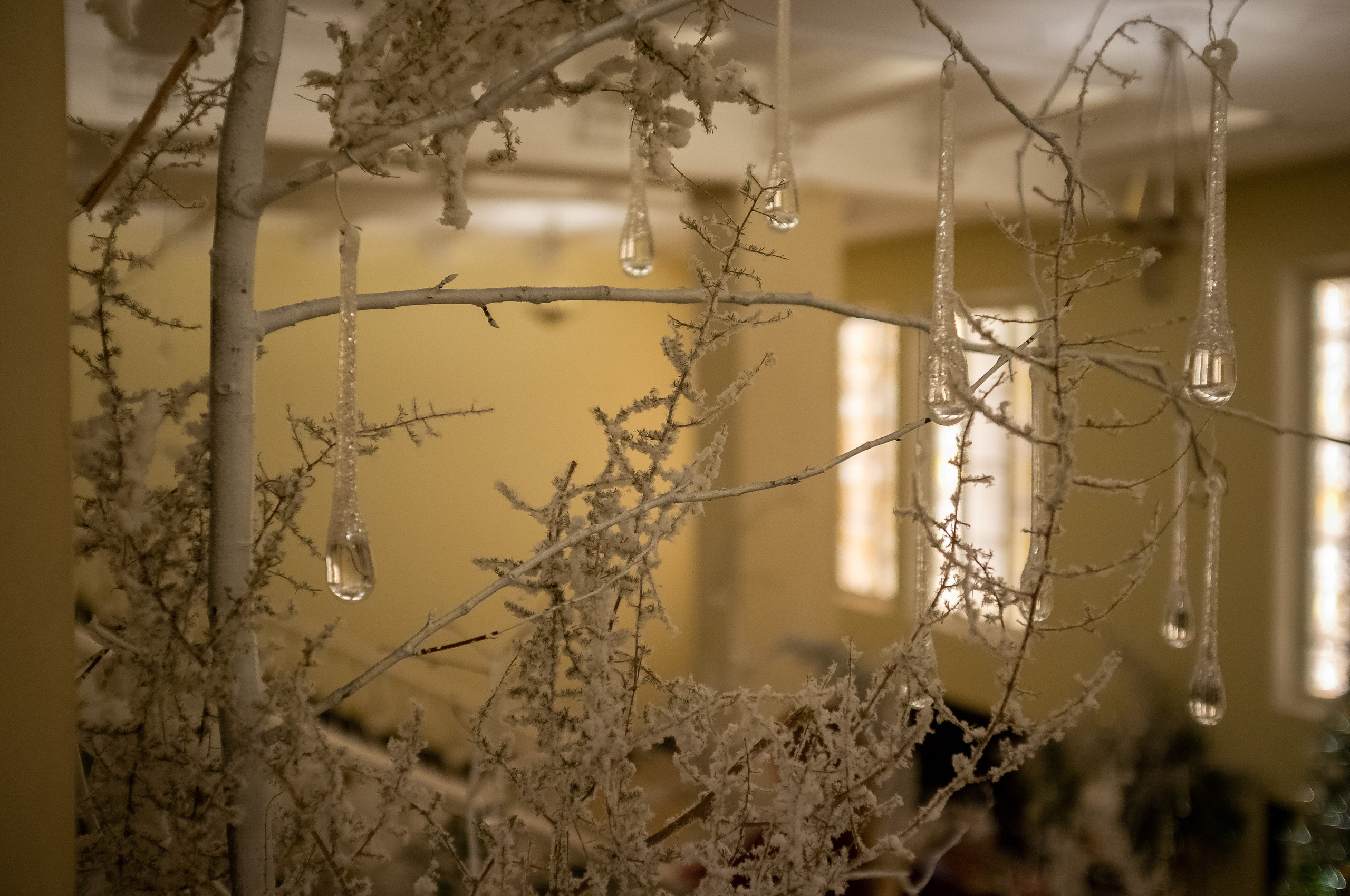 Новогодний вечер. Итальянка в Алжире. Искусство фотографии. Мария Осокина