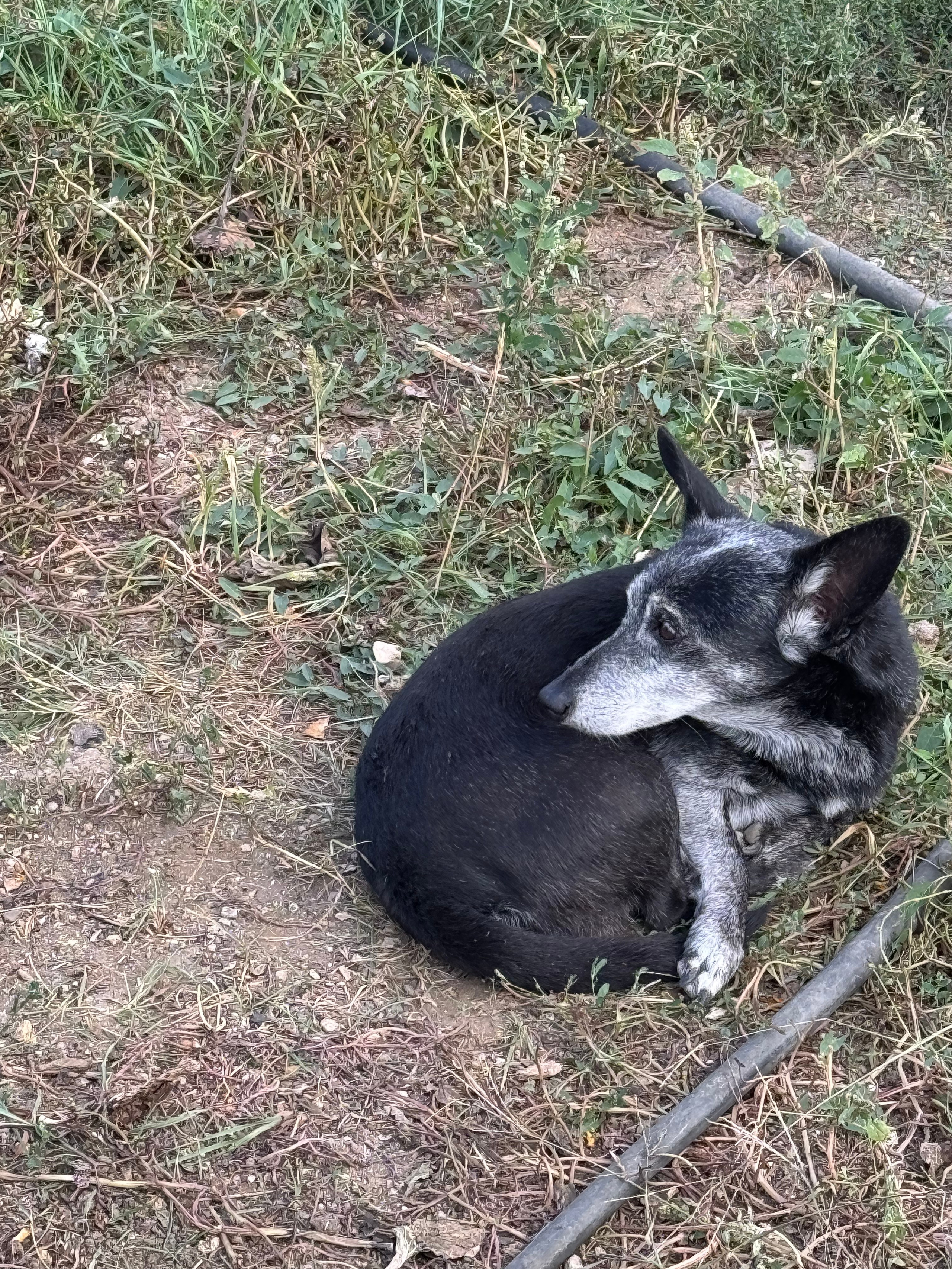 Приморское и Феодосия (2024-09-24). Собор Отрасли