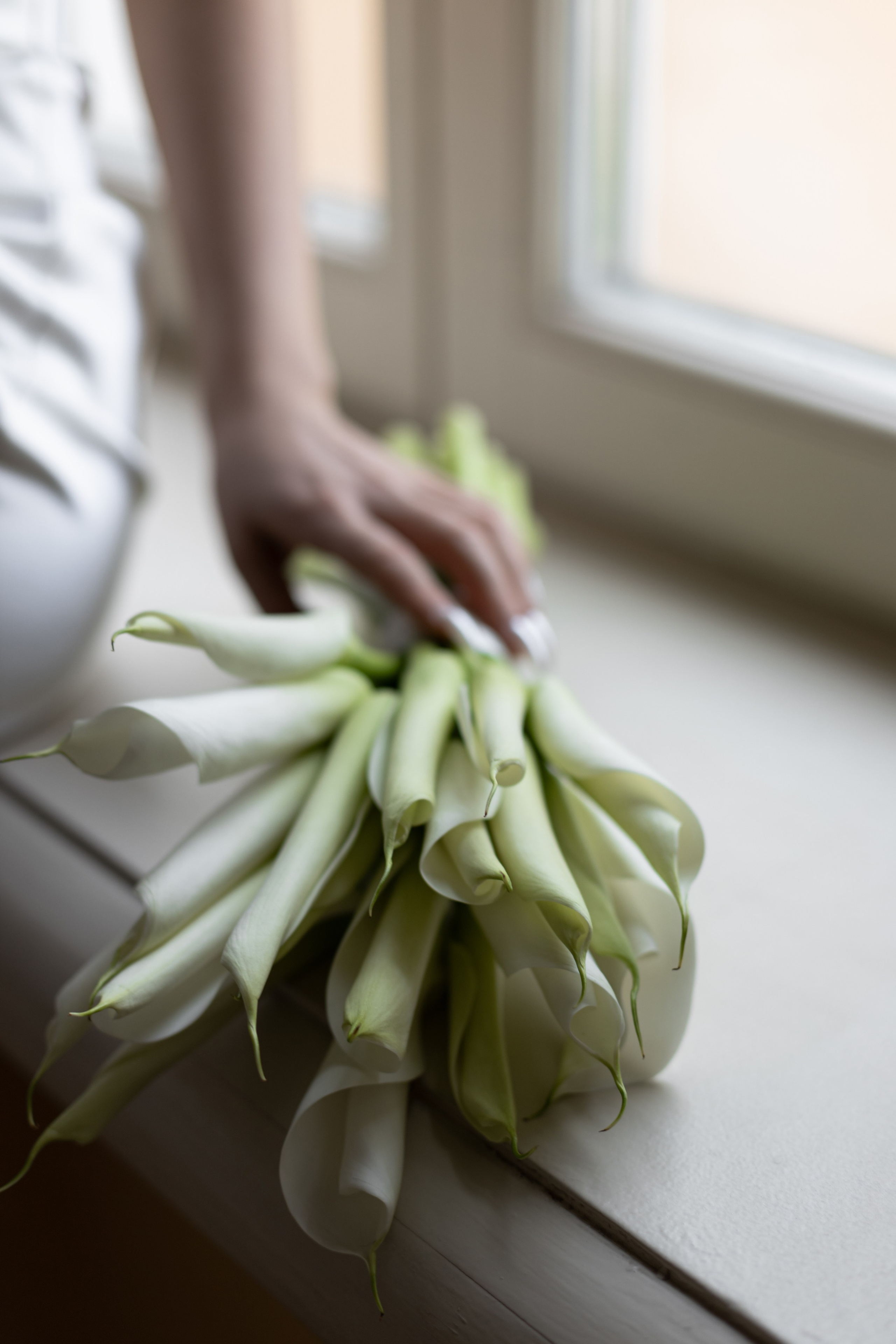 усадьба маравьёвых-апостолов, свадебный фотограф москва, гладков, свадьба, регистрация брака