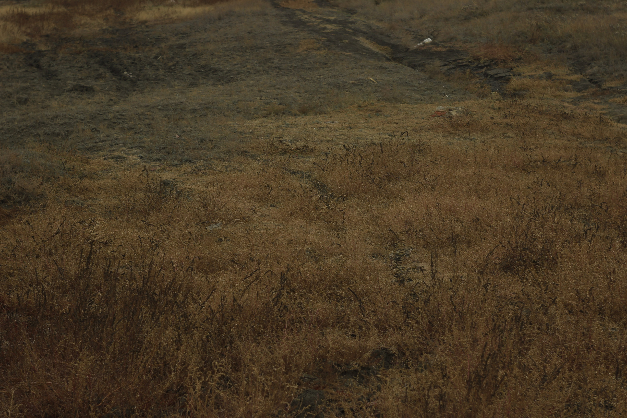 Разбойщина, Саратов, студенческая архитектурная мастерская Евгения Спирина и САСК. Фотокрыжовник. Снимаем, дружим, путешествуем