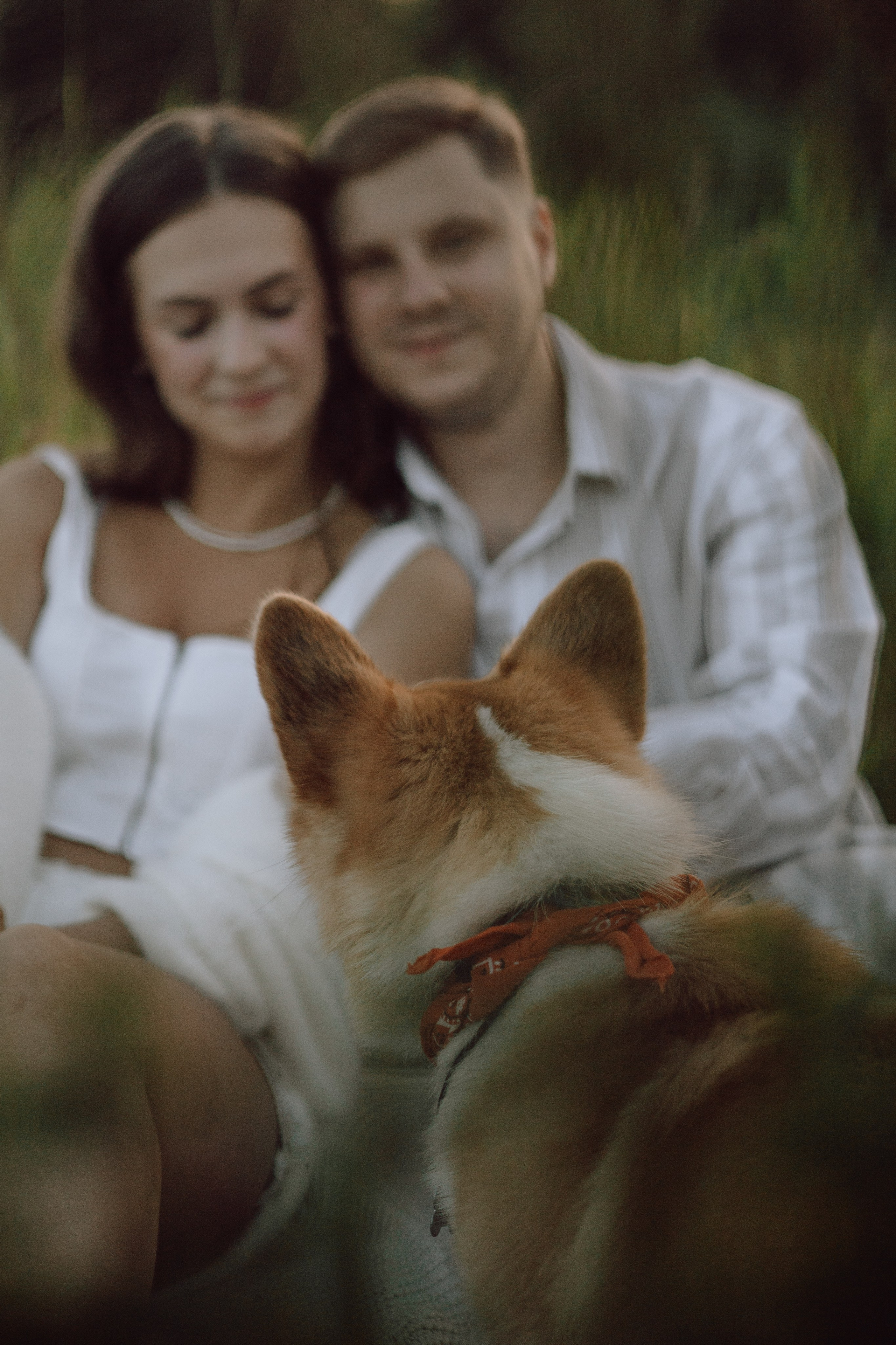 Фёдор и ребята. Фотограф — анималист •love-story•|Санкт-Петербург